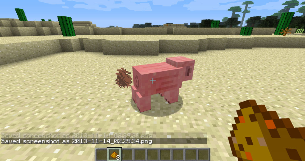 http://www.img.9minecraft.net/Mod/My-Buddy-Porkchop-Mod-1.jpg