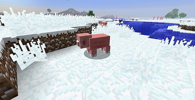 http://img.9minecraft.net/TexturePack/Default-christmas-texture-pack-3.jpg