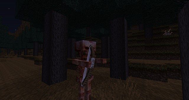 http://www.img.9minecraft.net/TexturePack/Skyrim-texture-pack-3.jpg