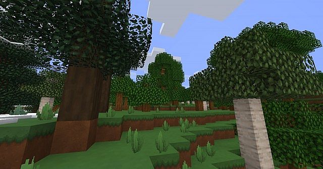 http://www.img.9minecraft.net/TexturePack/Skywardcraft-texture-pack-1.jpg