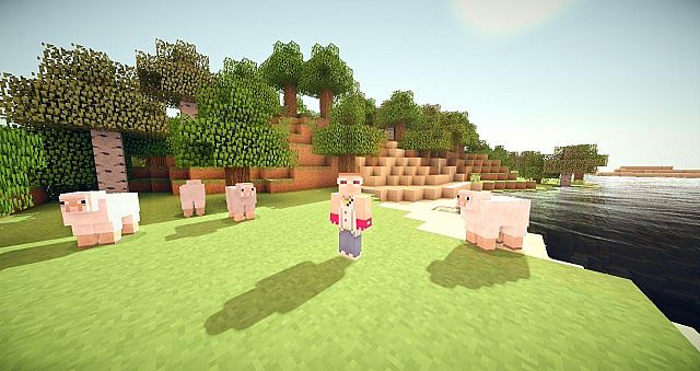 http://www.img.9minecraft.net/TexturePack/Walrus-craft-texture-pack-9.jpg