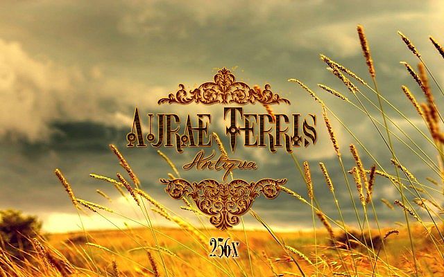  Aurae Terris Texture Pack  Minecraft 1.3.2