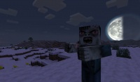 http://img.9minecraft.net/TexturePack1/HerrSommer_6.jpg