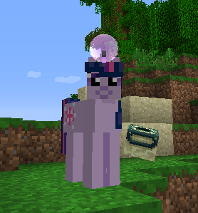 Skinning guide - Mine Little Pony