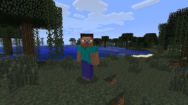 https://img.9minecraft.net/Mod/Steve-Mod-2.jpg