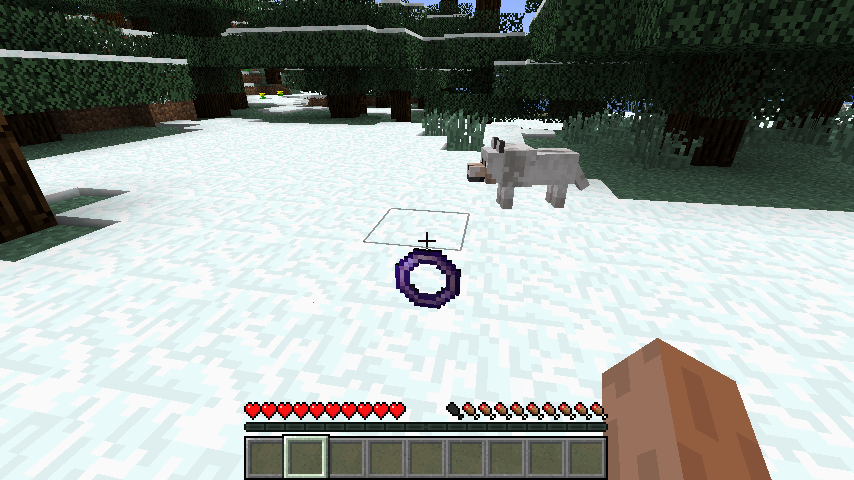 https://img.9minecraft.net/Mods/Flying-Ring-Mod-1.png