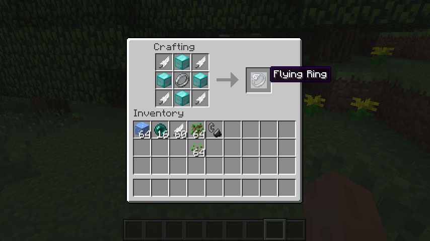 Rings of Power Mod 1.6.4 (Fly, Teleport, Create Lava, Shoot Fire) 7