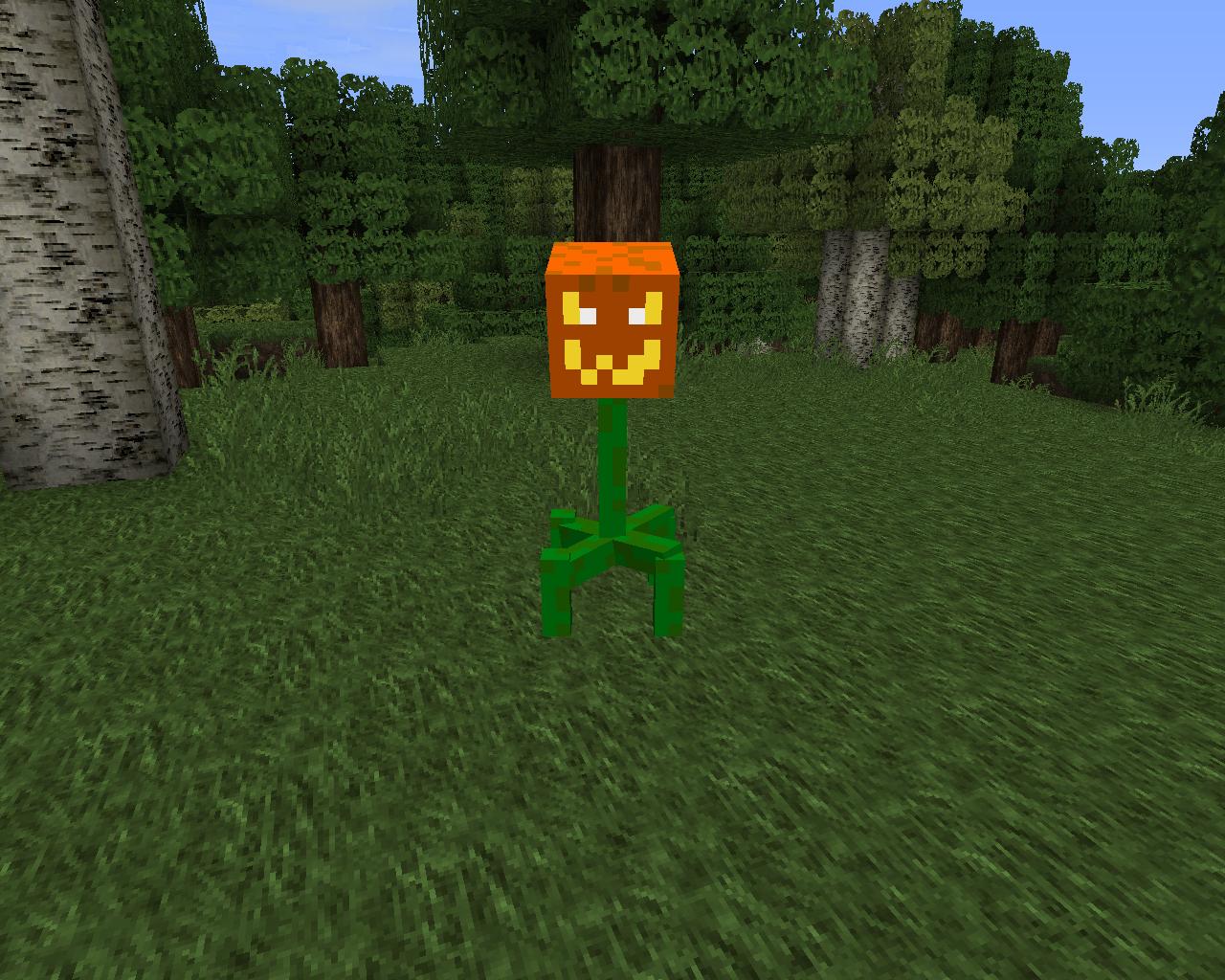 https://img.9minecraft.net/Mods/Witches-and-More-Mod-4.jpg