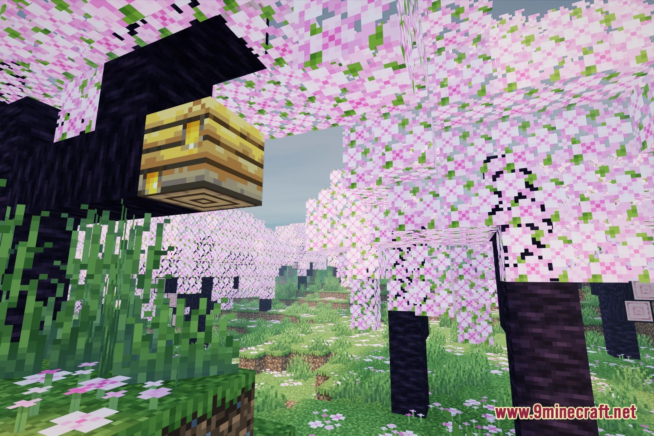 AeonRealism Shaders (26.2, 1.20.1) – Lightweight PBR and Soft Shadows — screenshot 1