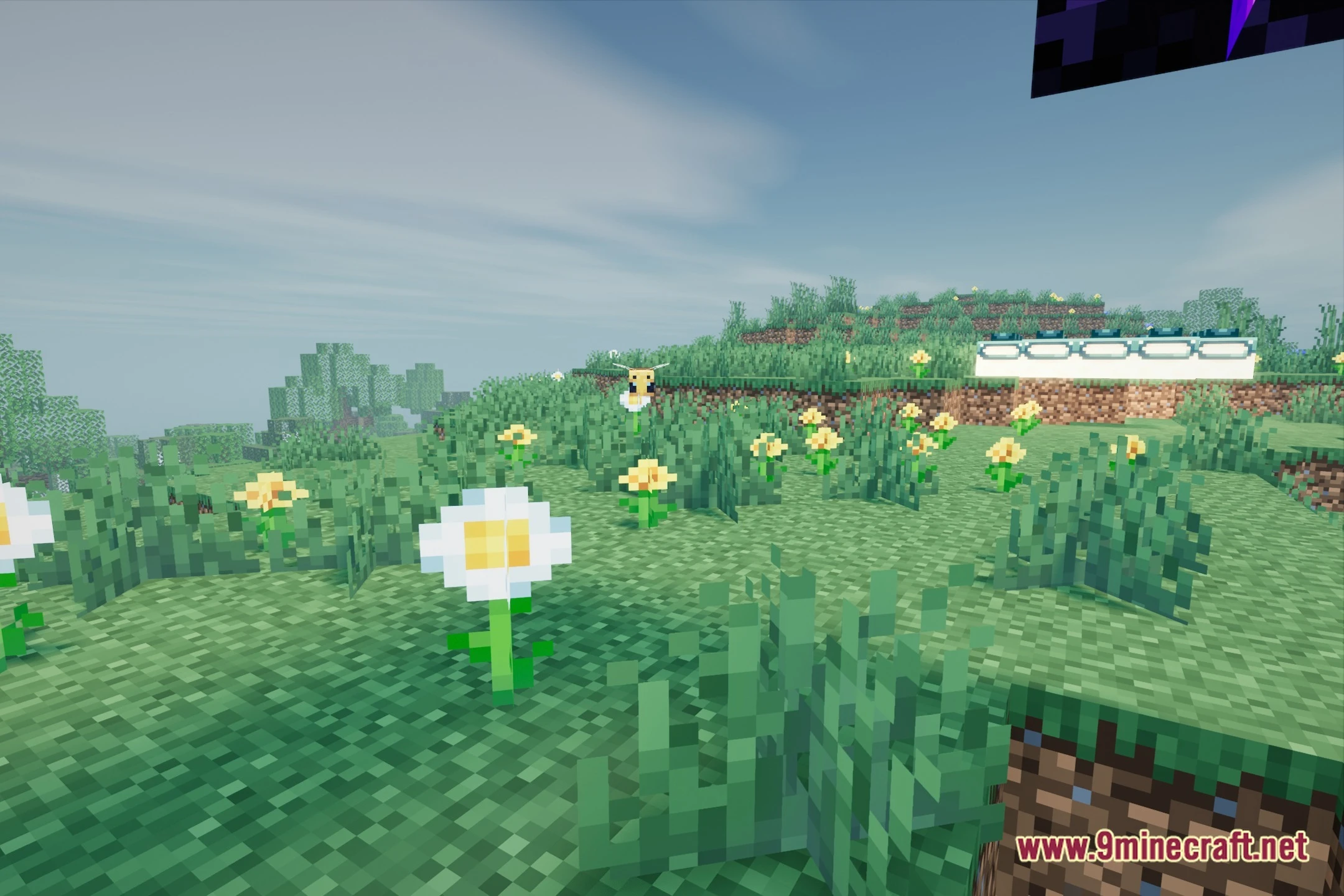 AeonRealism Shaders (26.2, 1.20.1) – Lightweight PBR and Soft Shadows — screenshot 5