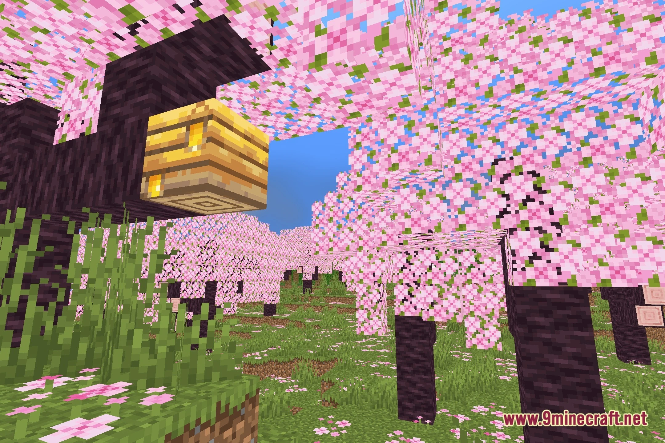 Aestheric Shaders (26.2, 1.20.1) – Lightweight Bloom and Realistic Skies — screenshot 1