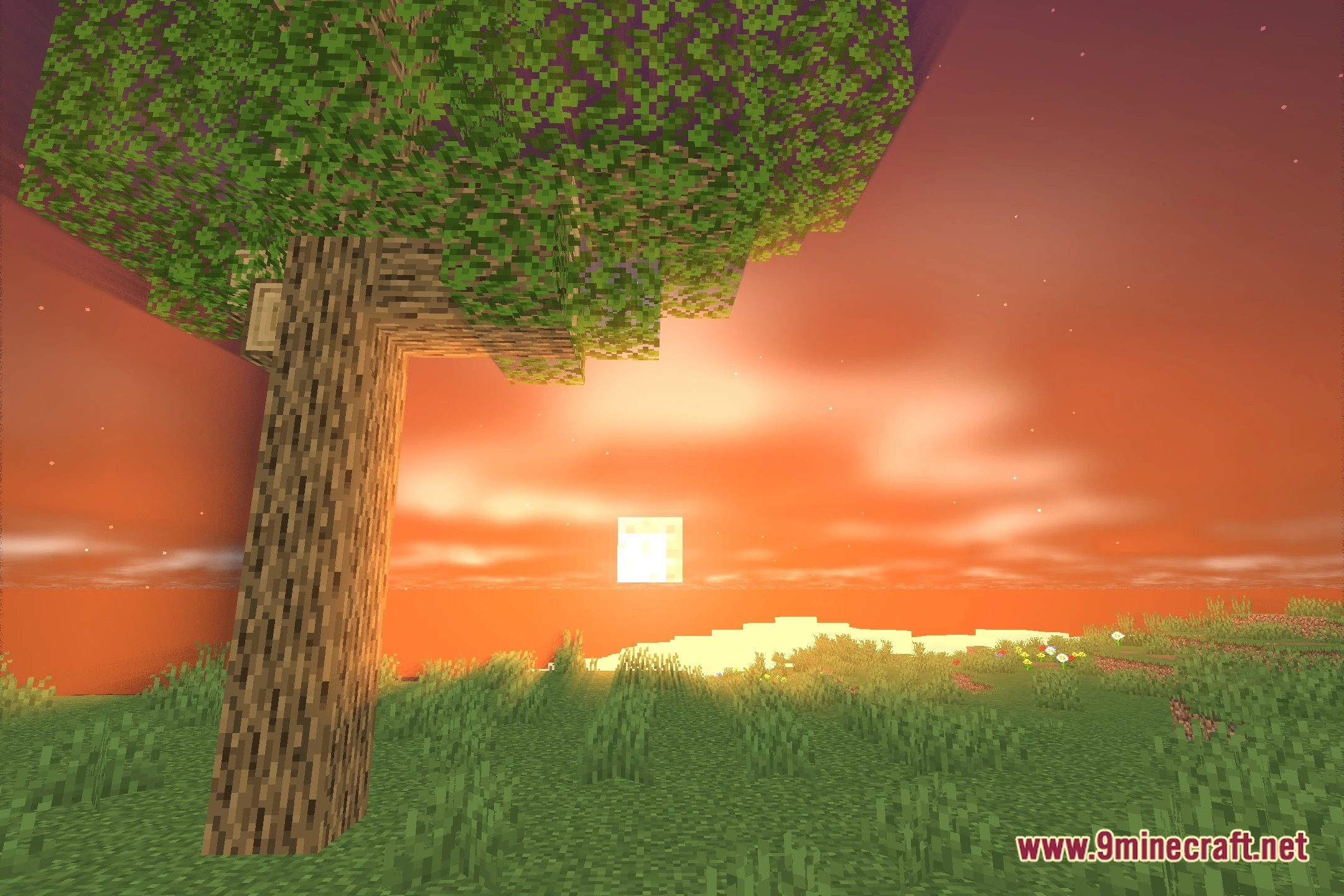 Aestheric Shaders (26.2, 1.20.1) – Lightweight Bloom and Realistic Skies — screenshot 4