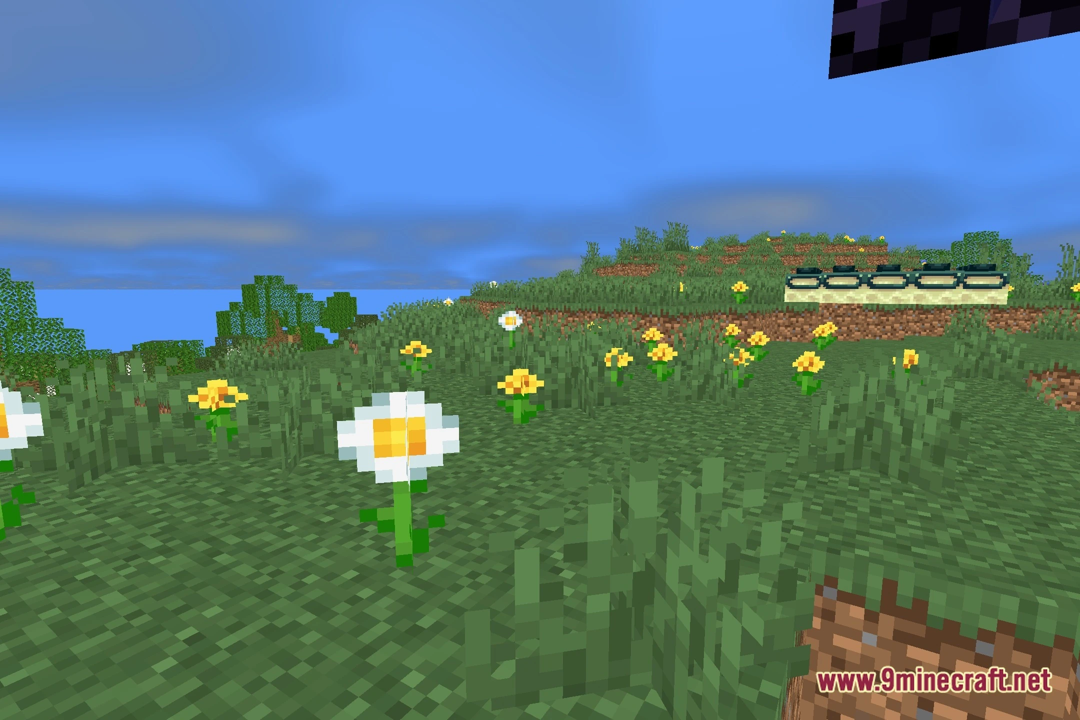 Aestheric Shaders (26.2, 1.20.1) – Lightweight Bloom and Realistic Skies — screenshot 5