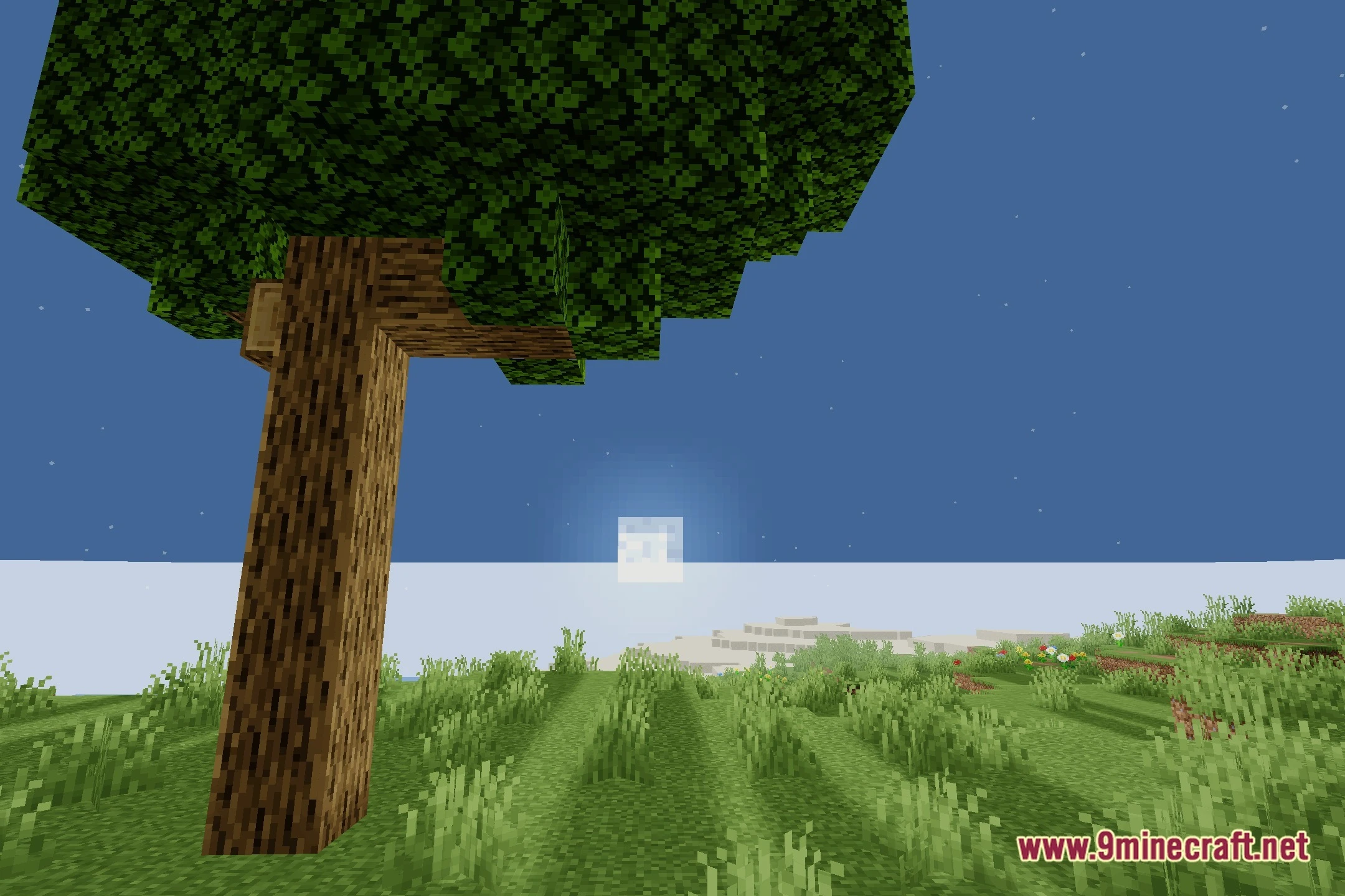 ArnavMC's Shaders (26.2, 1.20.1) – Soft Shadows and Lightweight Bloom — screenshot 4