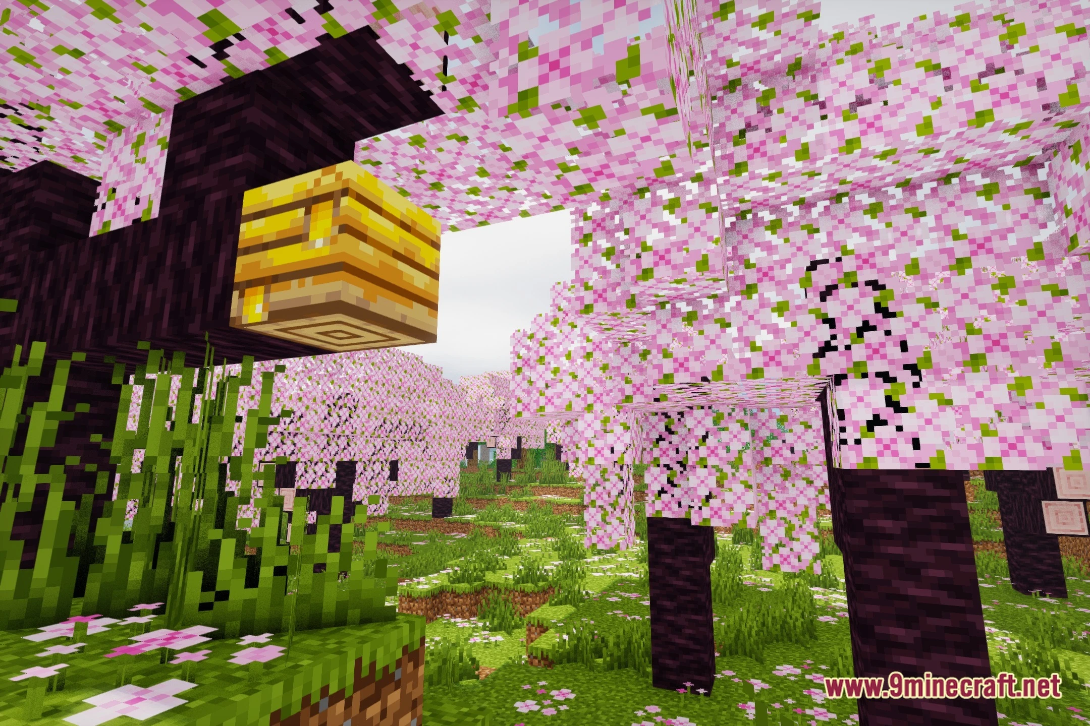 Astral Cinema Shaders (26.2, 1.20.1) – Cinematic Lighting and Soft Shadows — screenshot 1