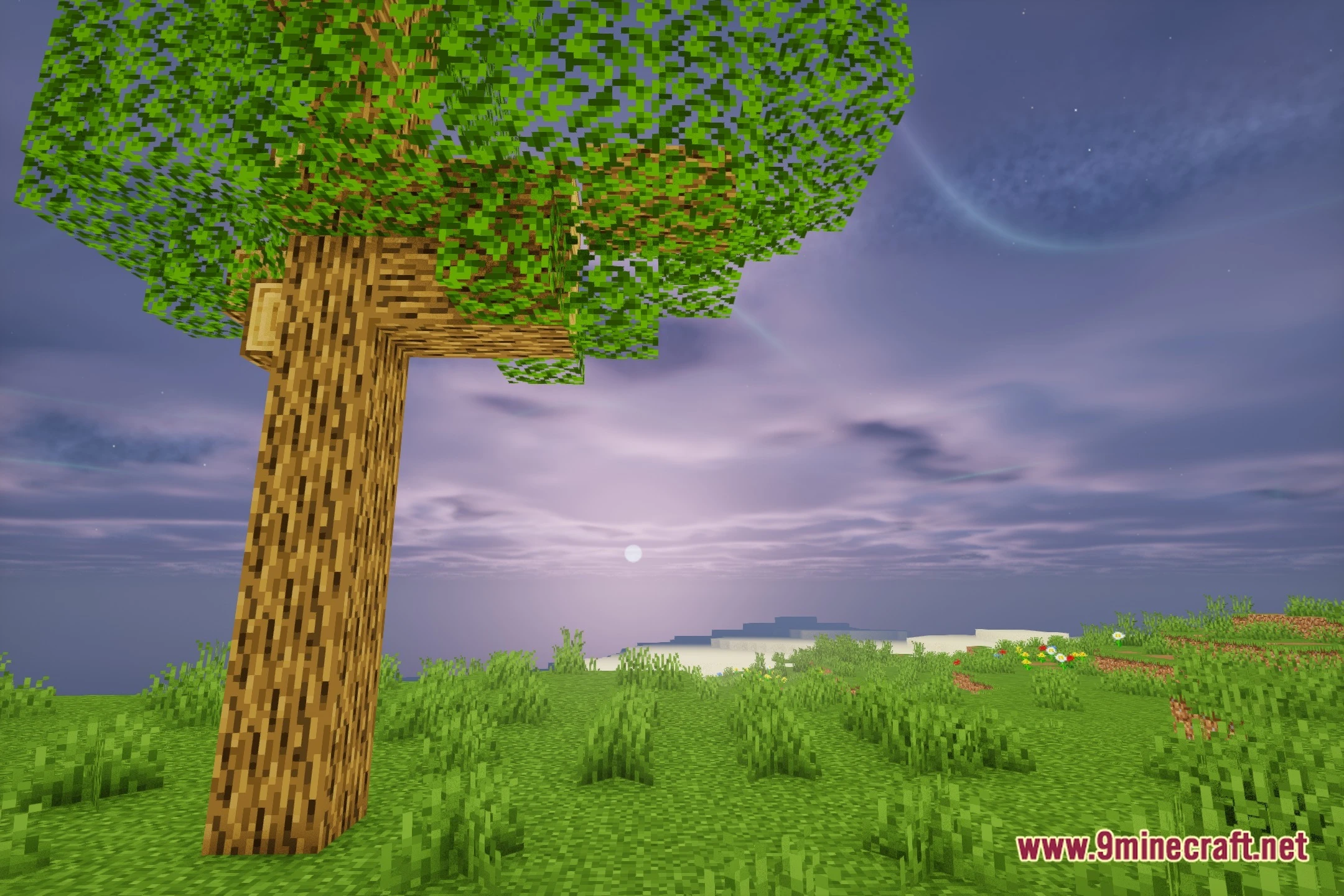 Astral Cinema Shaders (26.2, 1.20.1) – Cinematic Lighting and Soft Shadows — screenshot 4