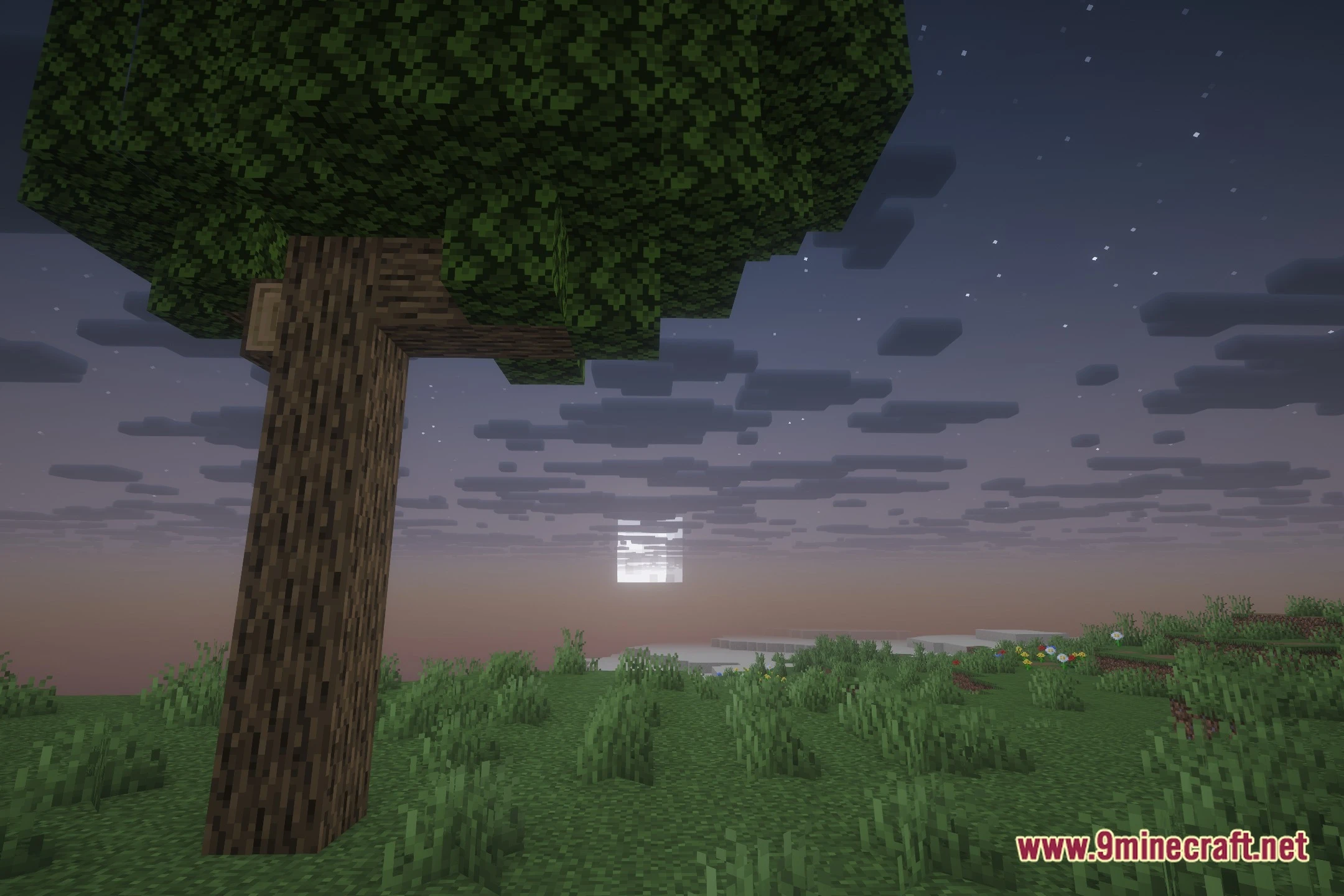 BCR Shades Shaders (26.2, 1.20.1) – Clean Vanilla Lighting and Smooth FPS — screenshot 4