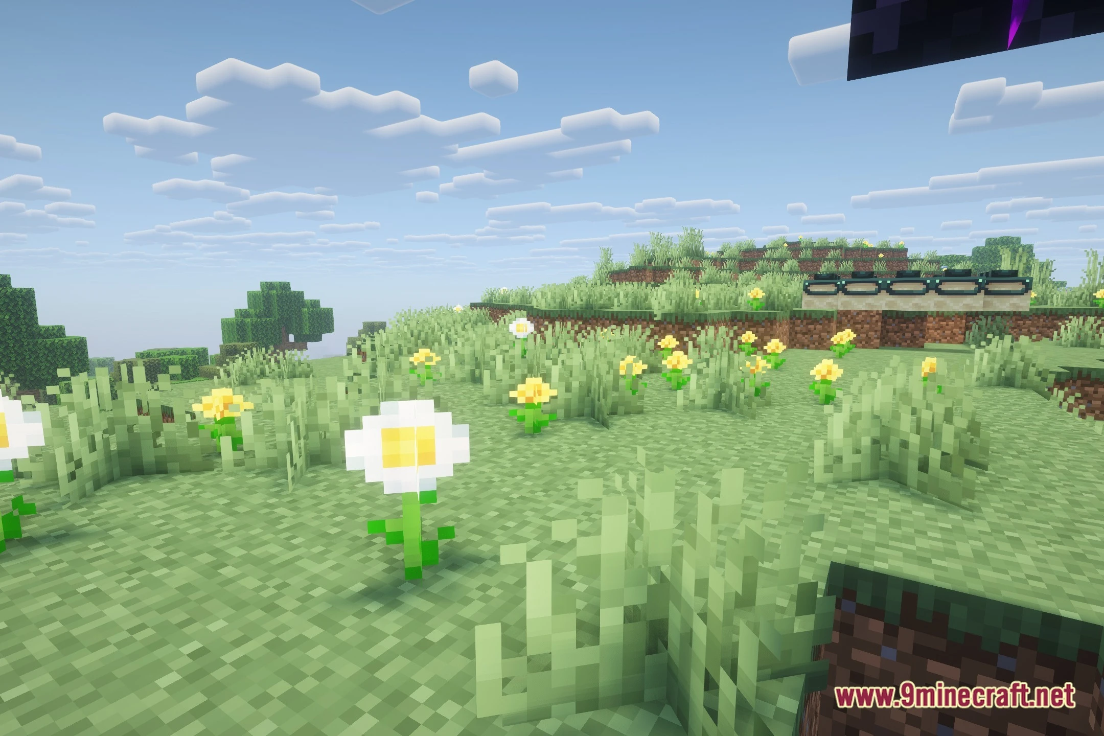 BCR Shades Shaders (26.2, 1.20.1) – Clean Vanilla Lighting and Smooth FPS — screenshot 5