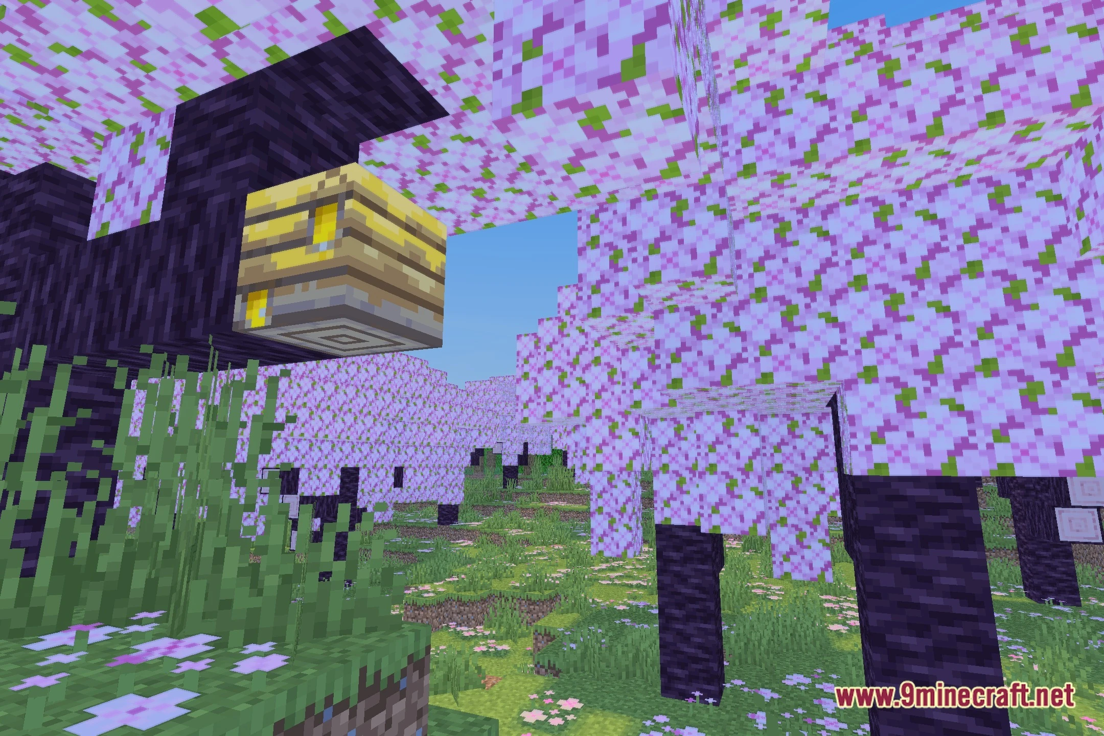 Bluei's Better Visuals Windows Shaders (26.2, 1.20.1) — screenshot 1