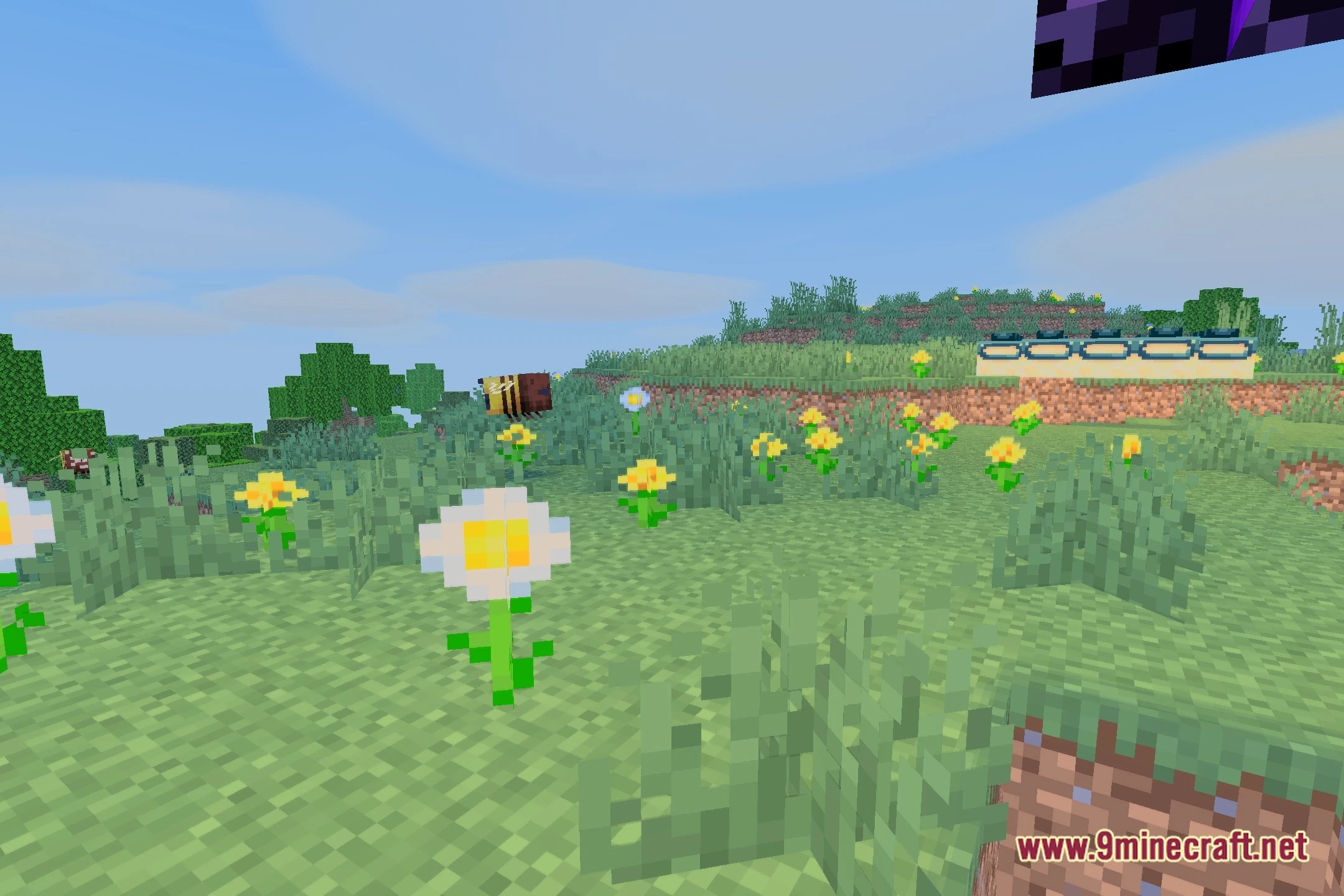Bluei's Better Visuals Windows Shaders (26.2, 1.20.1) — screenshot 5