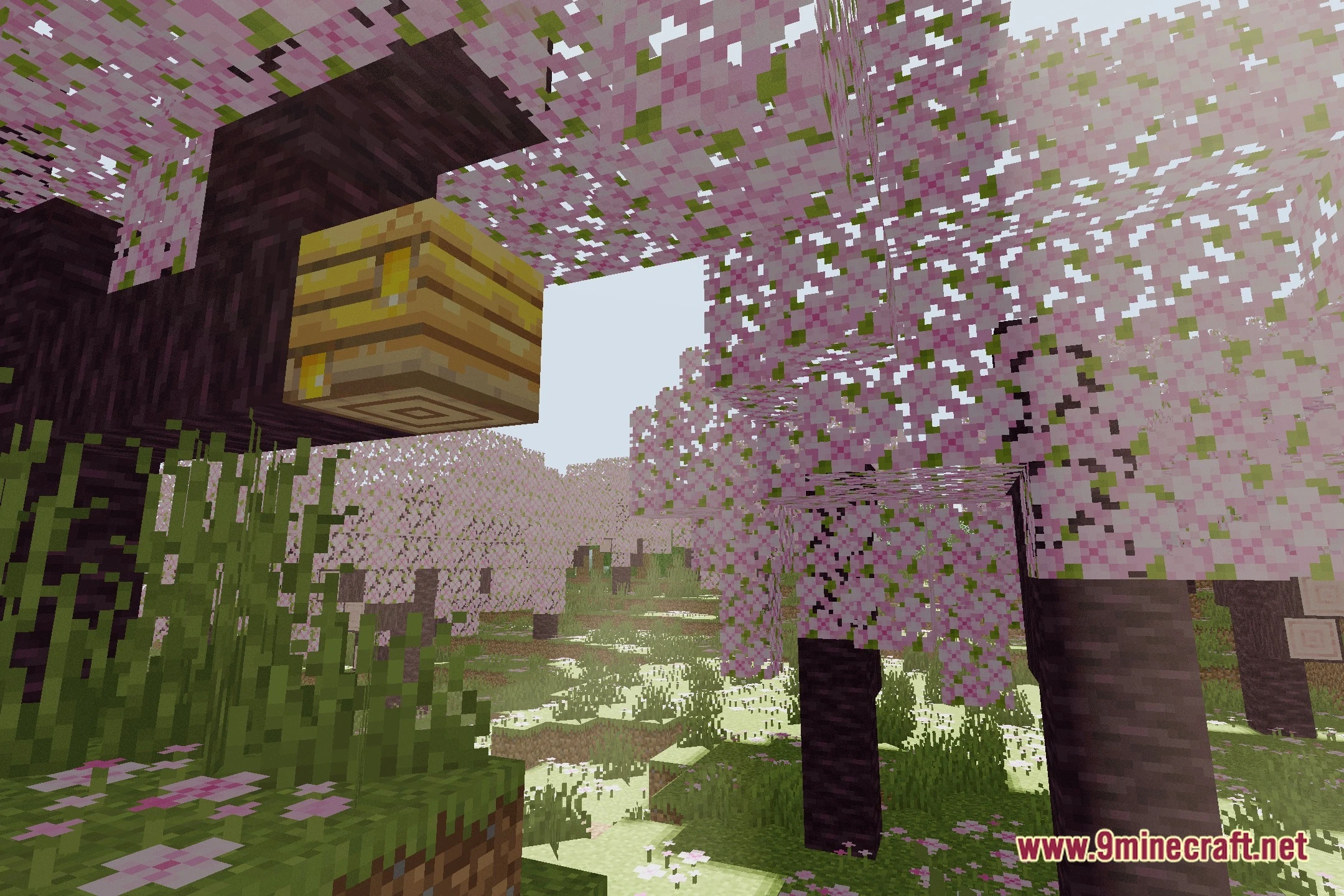 CCG Shaders (26.2, 1.20.1) – AI Generated Lighting with Soft Shadows — screenshot 1
