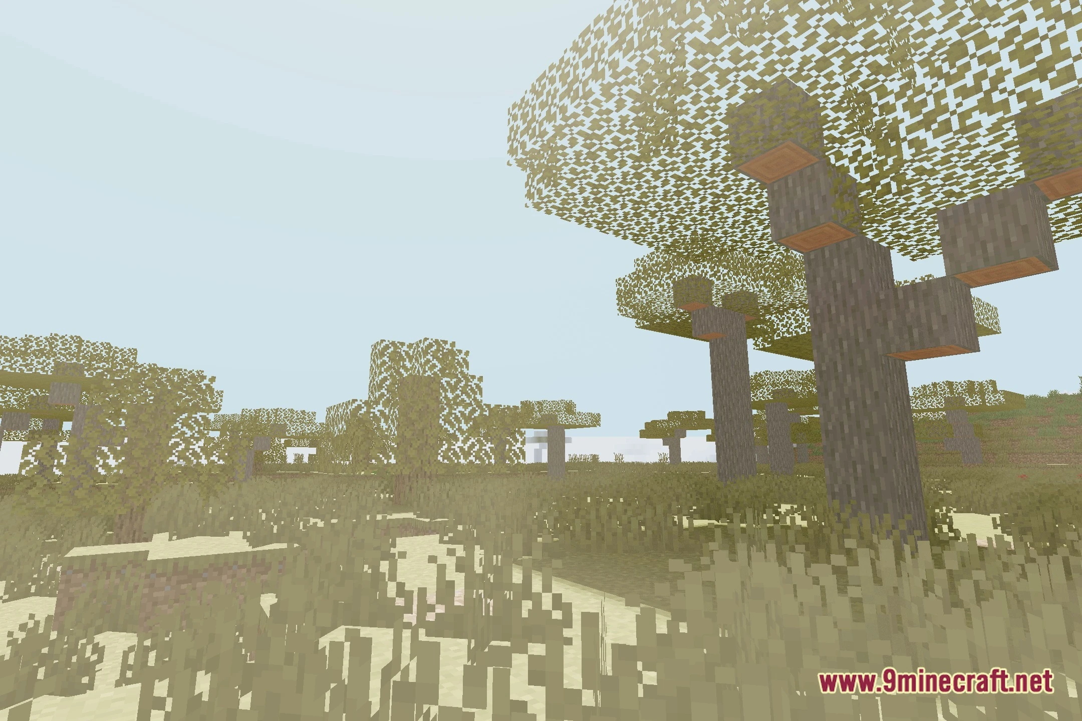 CCG Shaders Screenshot 11