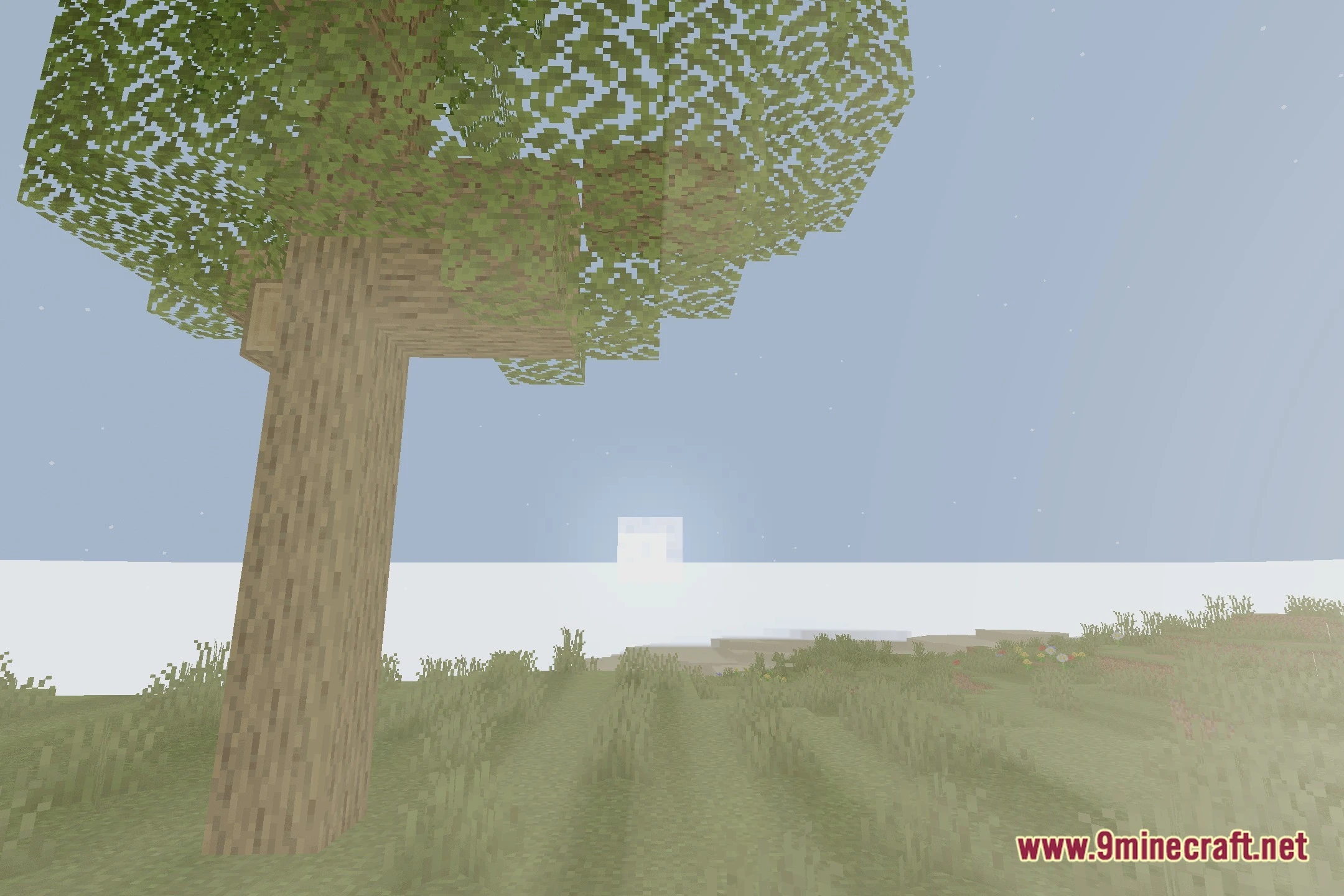 CCG Shaders (26.2, 1.20.1) – AI Generated Lighting with Soft Shadows — screenshot 3