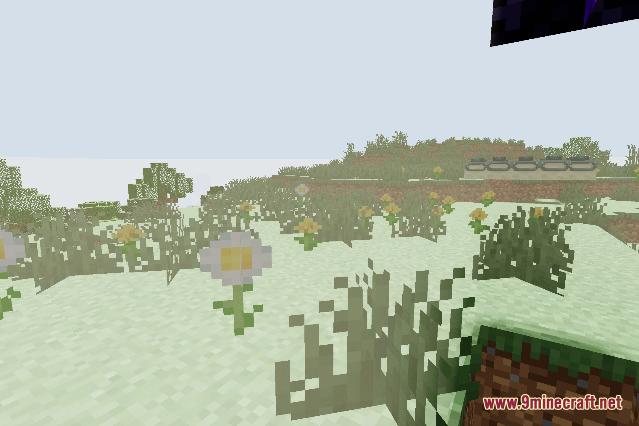 CCG Shaders (26.2, 1.20.1) – AI Generated Lighting with Soft Shadows — screenshot 4