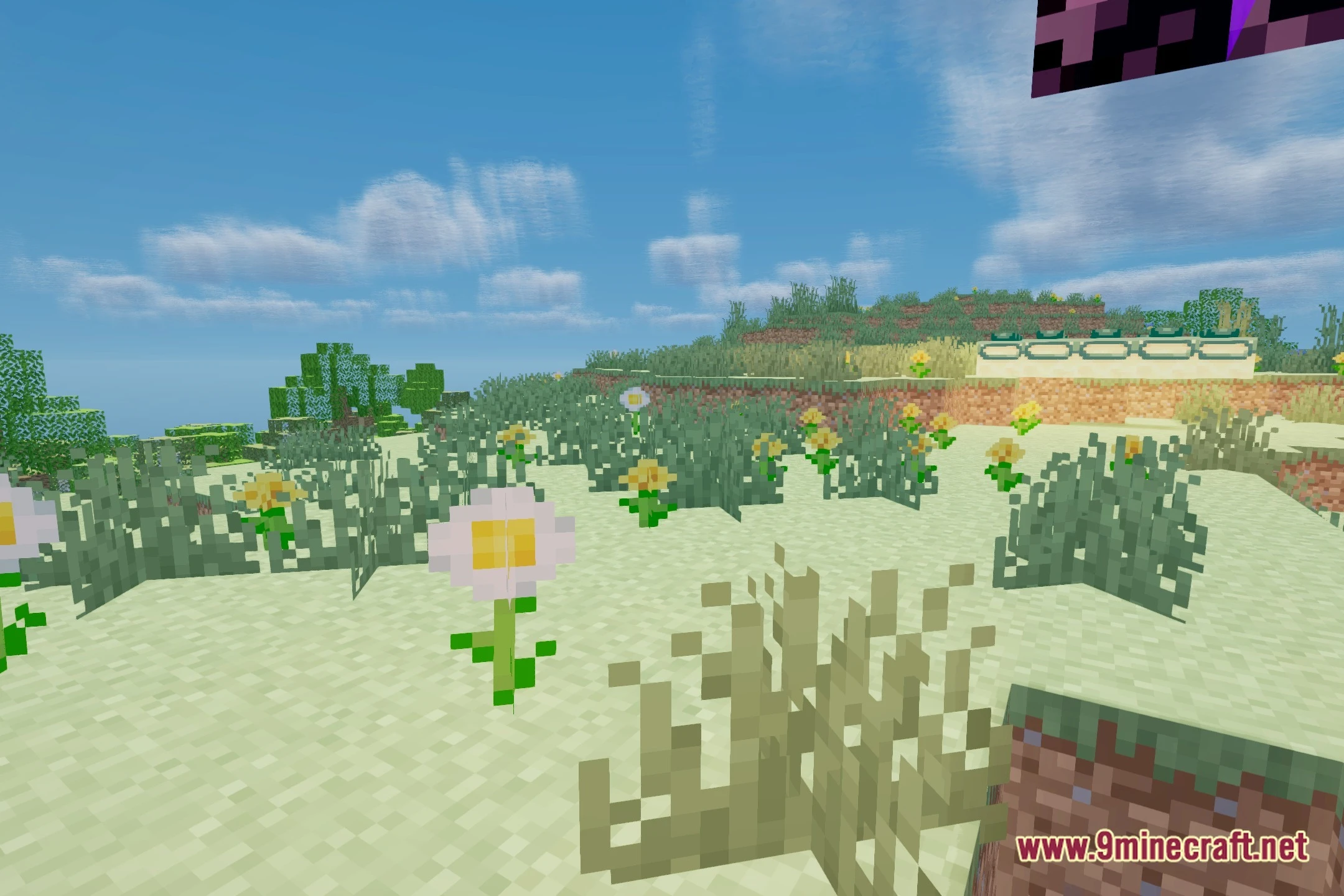 Crystalism Shaders (26.2, 1.20.1) – Crisp Reflections and Smooth Shadows — screenshot 5