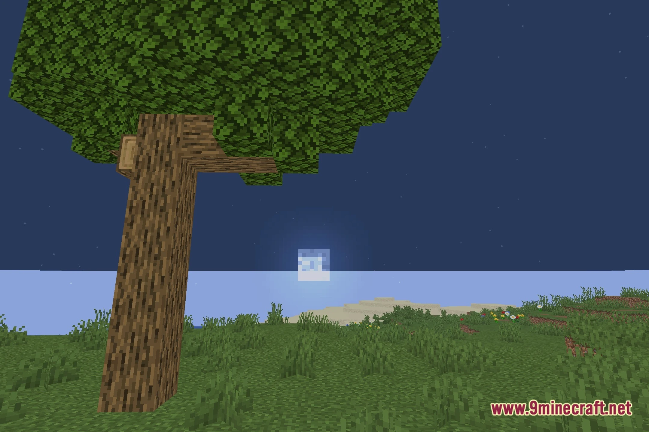 Doom Shaders (26.2, 1.20.1) – Clean Vanilla Shadows for Low-End PCs — screenshot 3