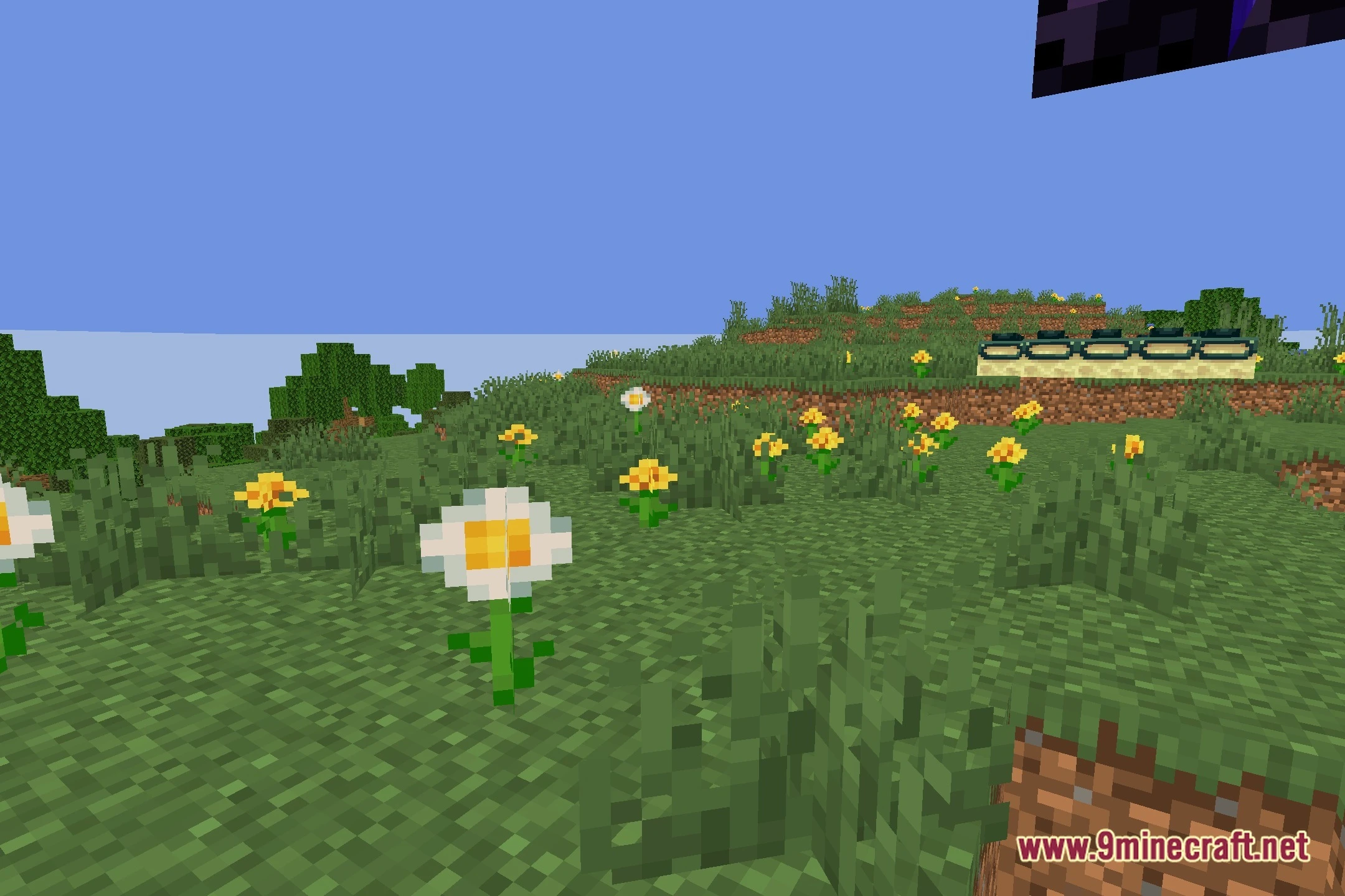 Doom Shaders (26.2, 1.20.1) – Clean Vanilla Shadows for Low-End PCs — screenshot 4
