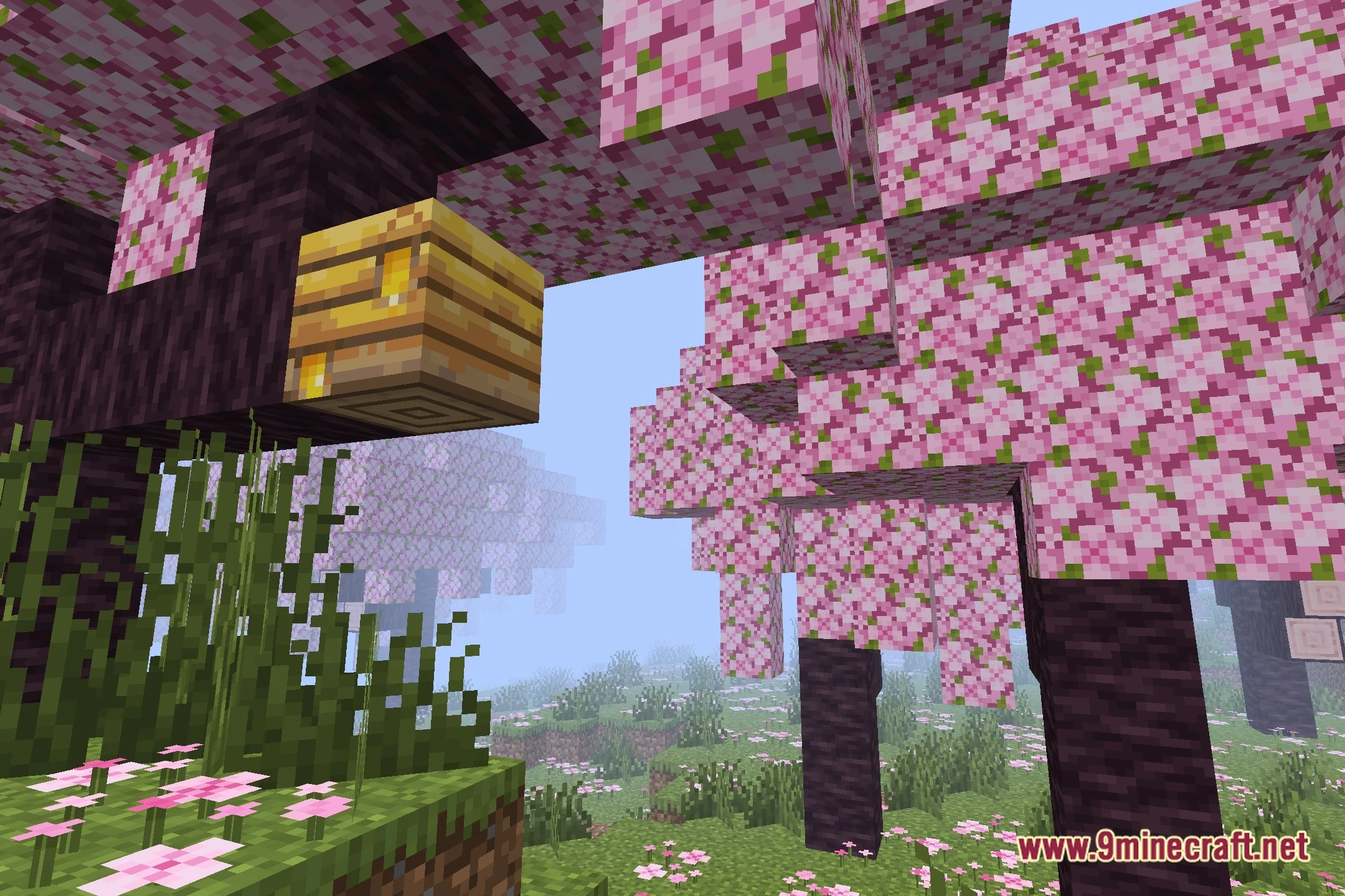 ELASION Shaders (26.2, 1.20.1) – Classic Alpha Shading for Low-End PCs — screenshot 1
