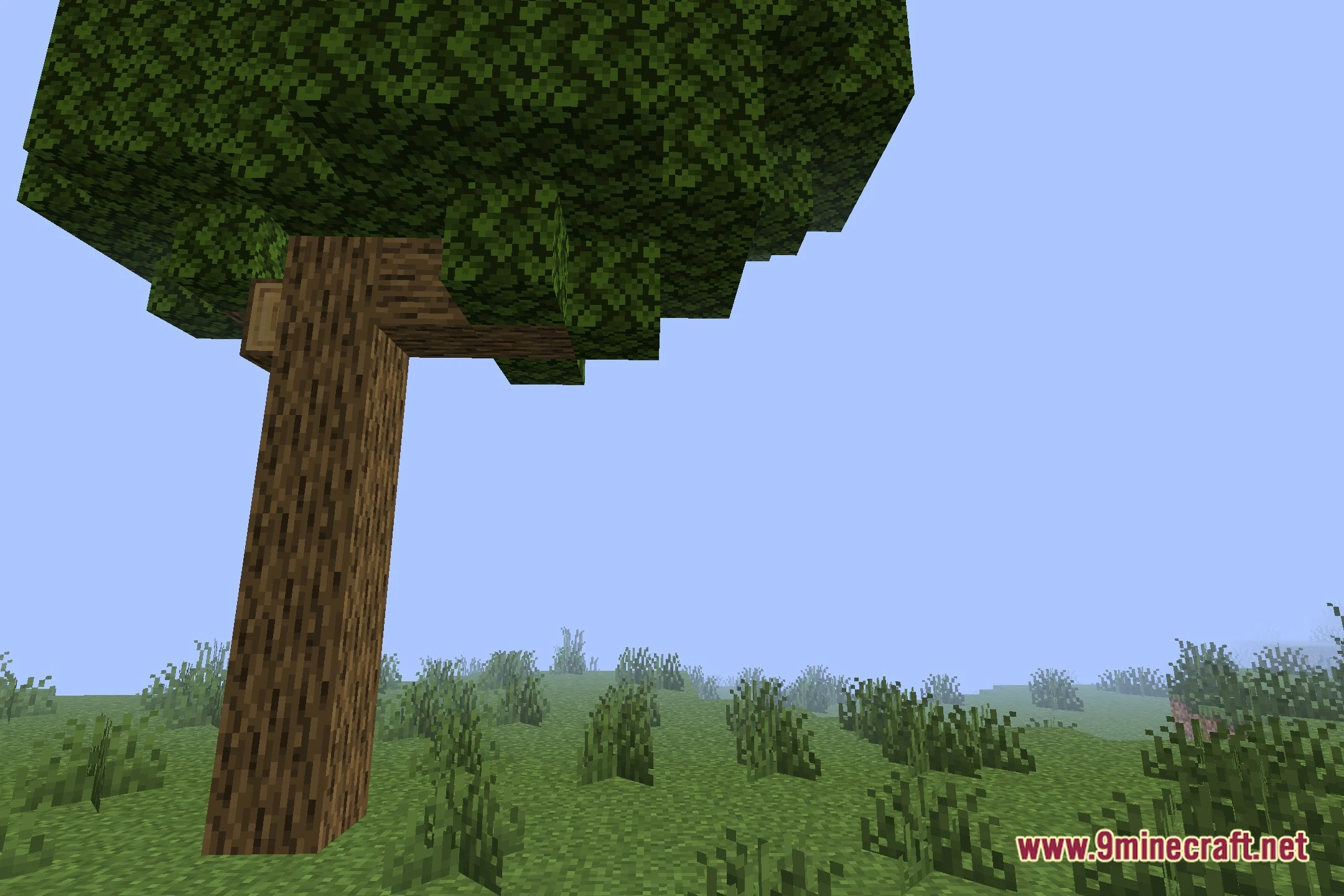 ELASION Shaders (26.2, 1.20.1) – Classic Alpha Shading for Low-End PCs — screenshot 4