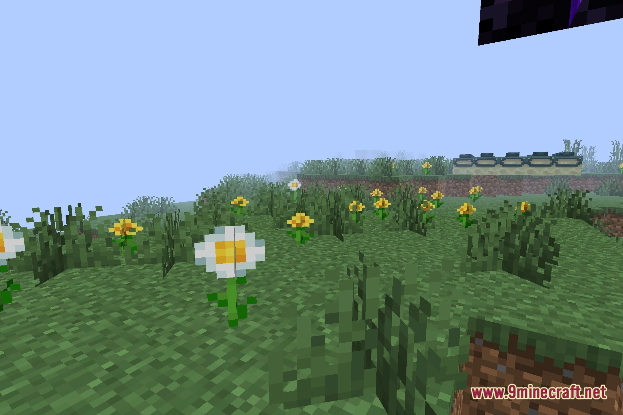 ELASION Shaders (26.2, 1.20.1) – Classic Alpha Shading for Low-End PCs — screenshot 5