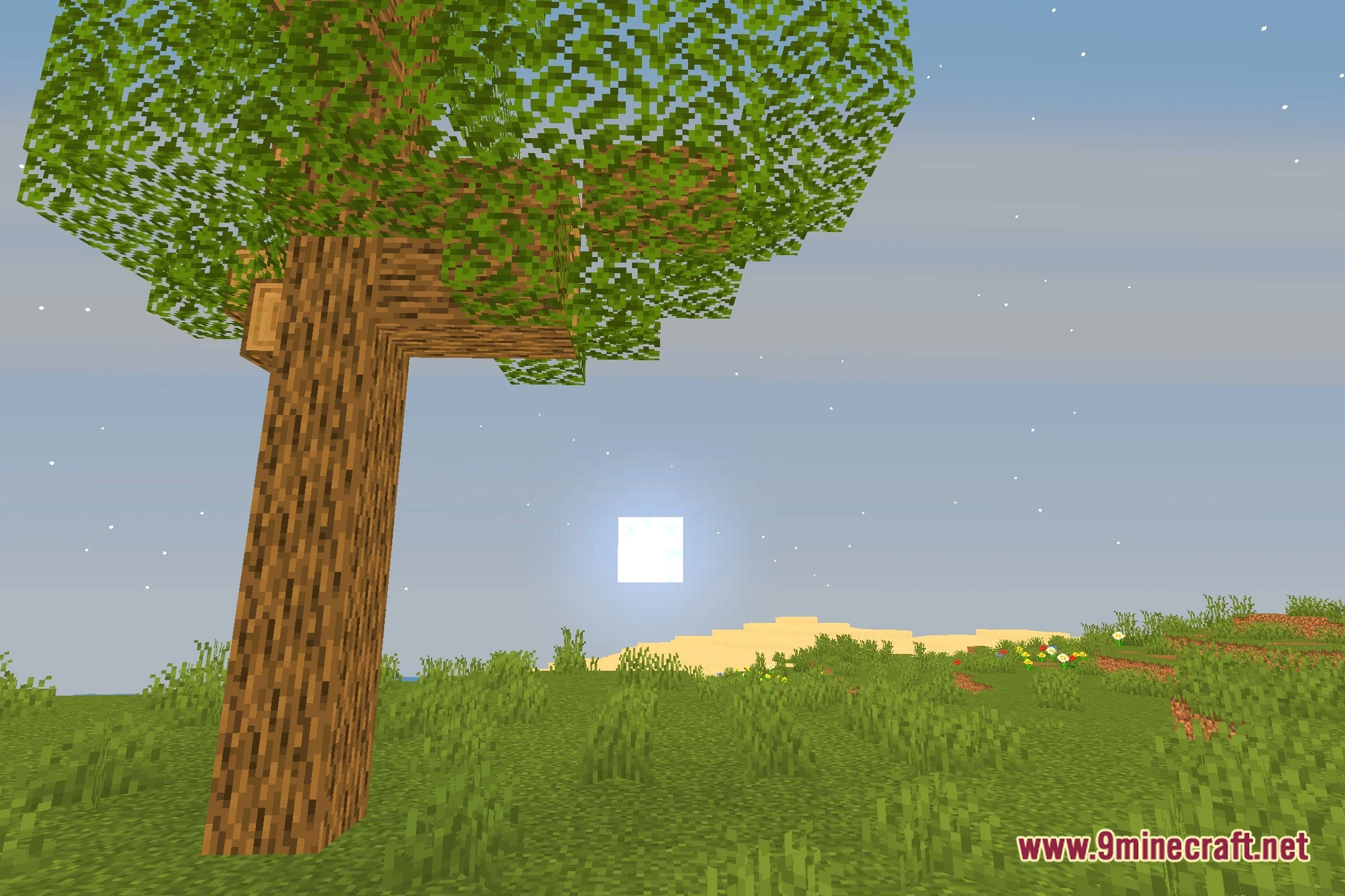 Ember Shaders (26.2, 1.20.1) – Soft Bloom and Clean Water Reflections — screenshot 4
