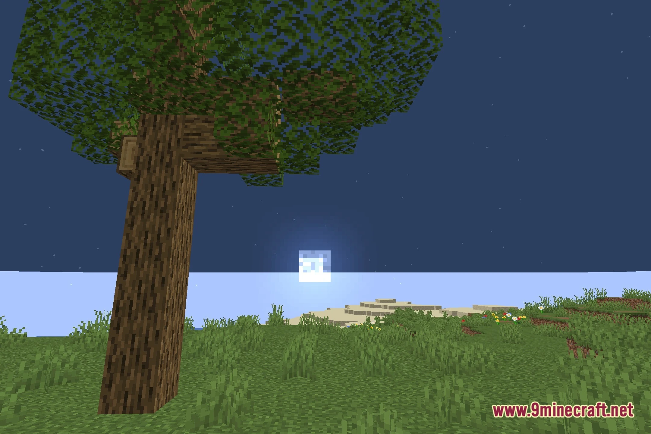 FESGlow Shaders (26.2, 1.20.1) – Cartoon Visuals and Colored Lighting — screenshot 4