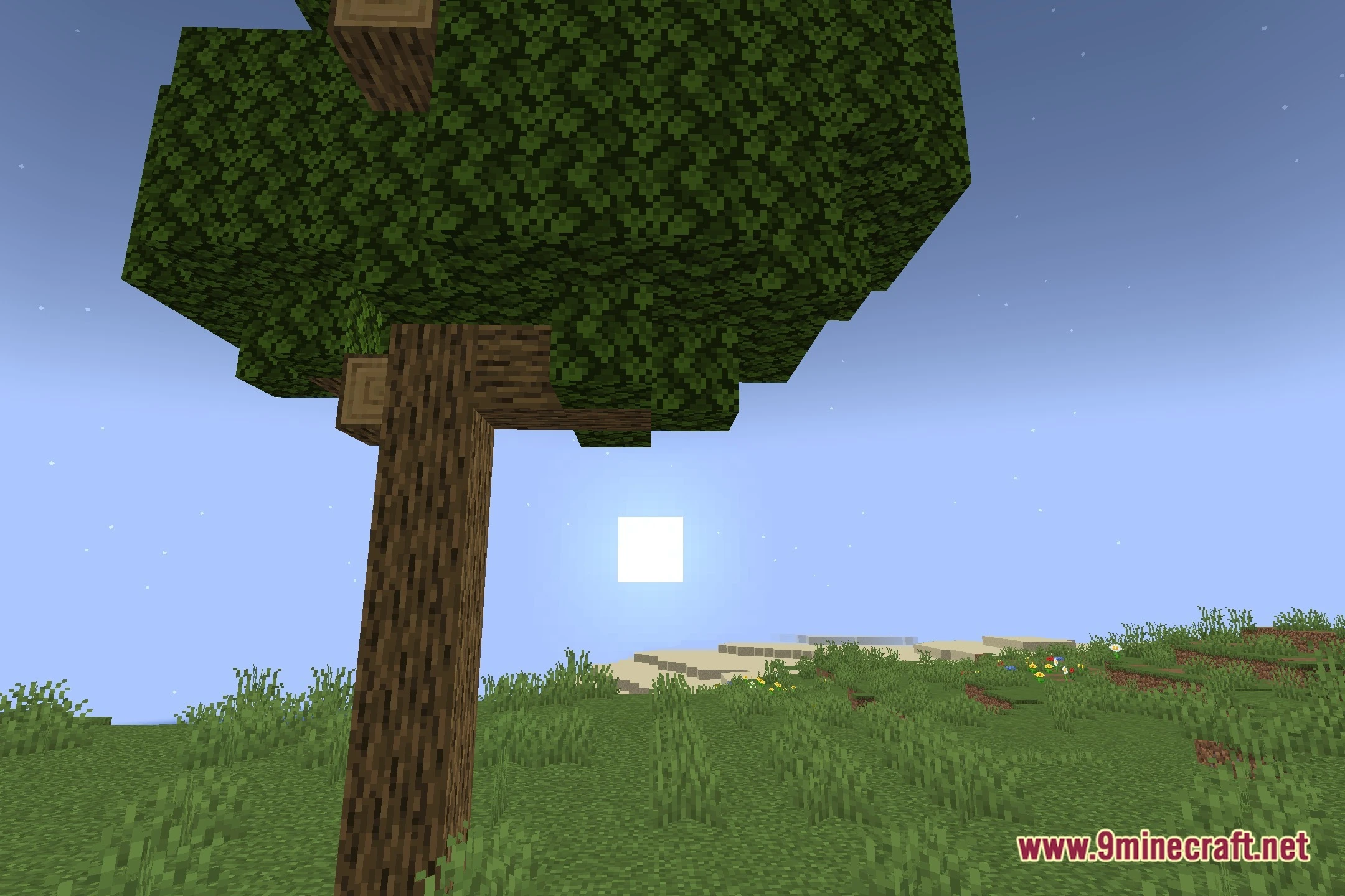 Floor IT Shaders (26.2, 1.20.1) – Flattens World Terrain Into Floors — screenshot 4