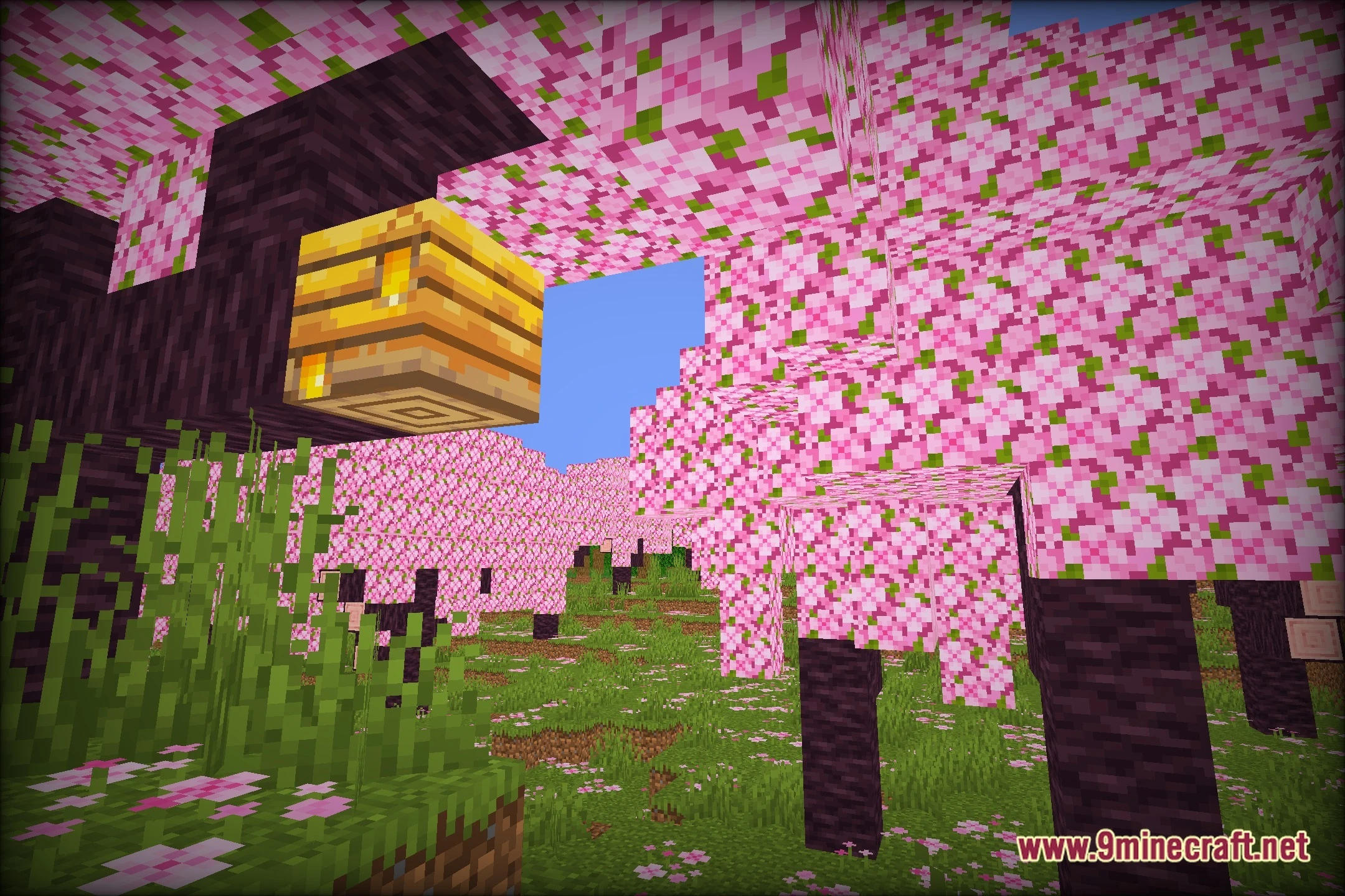 Forbis's ! Shaders (26.2, 1.20.1) – Colored Lighting with Fullbright Toggle — screenshot 1
