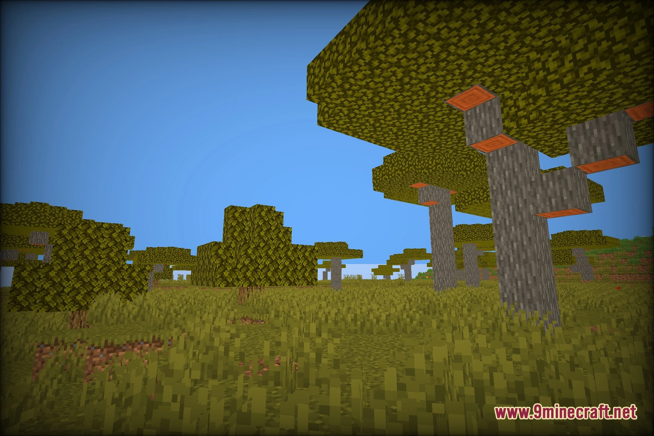 Forbis's ! Shaders Screenshot 12