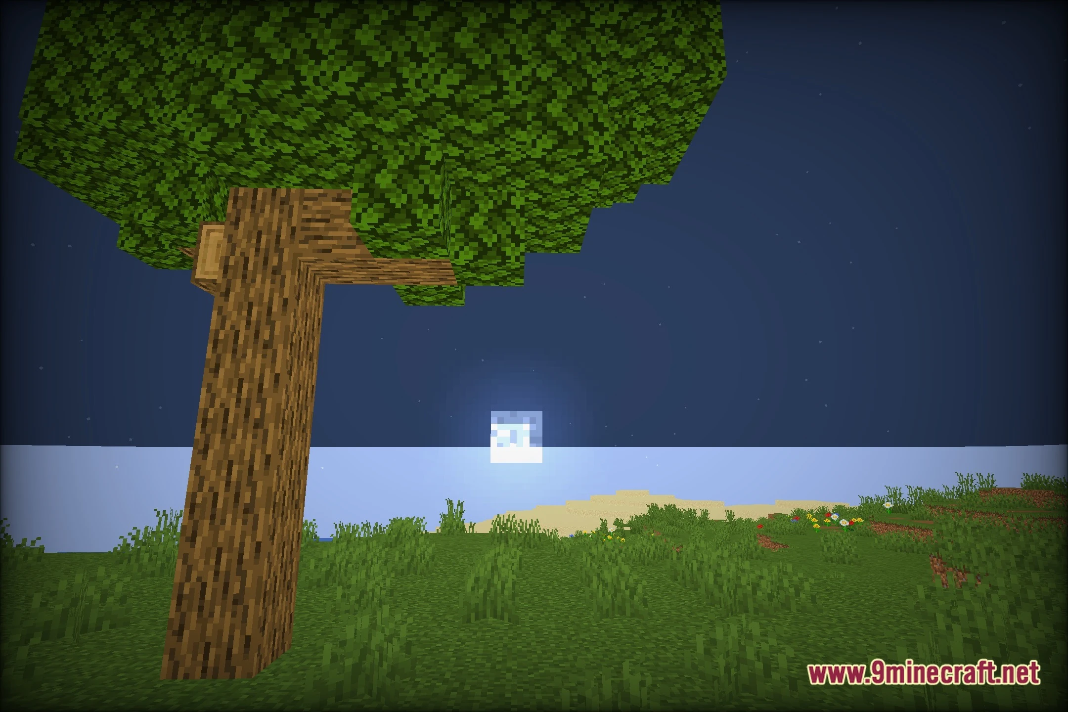Forbis's ! Shaders (26.2, 1.20.1) – Colored Lighting with Fullbright Toggle — screenshot 4