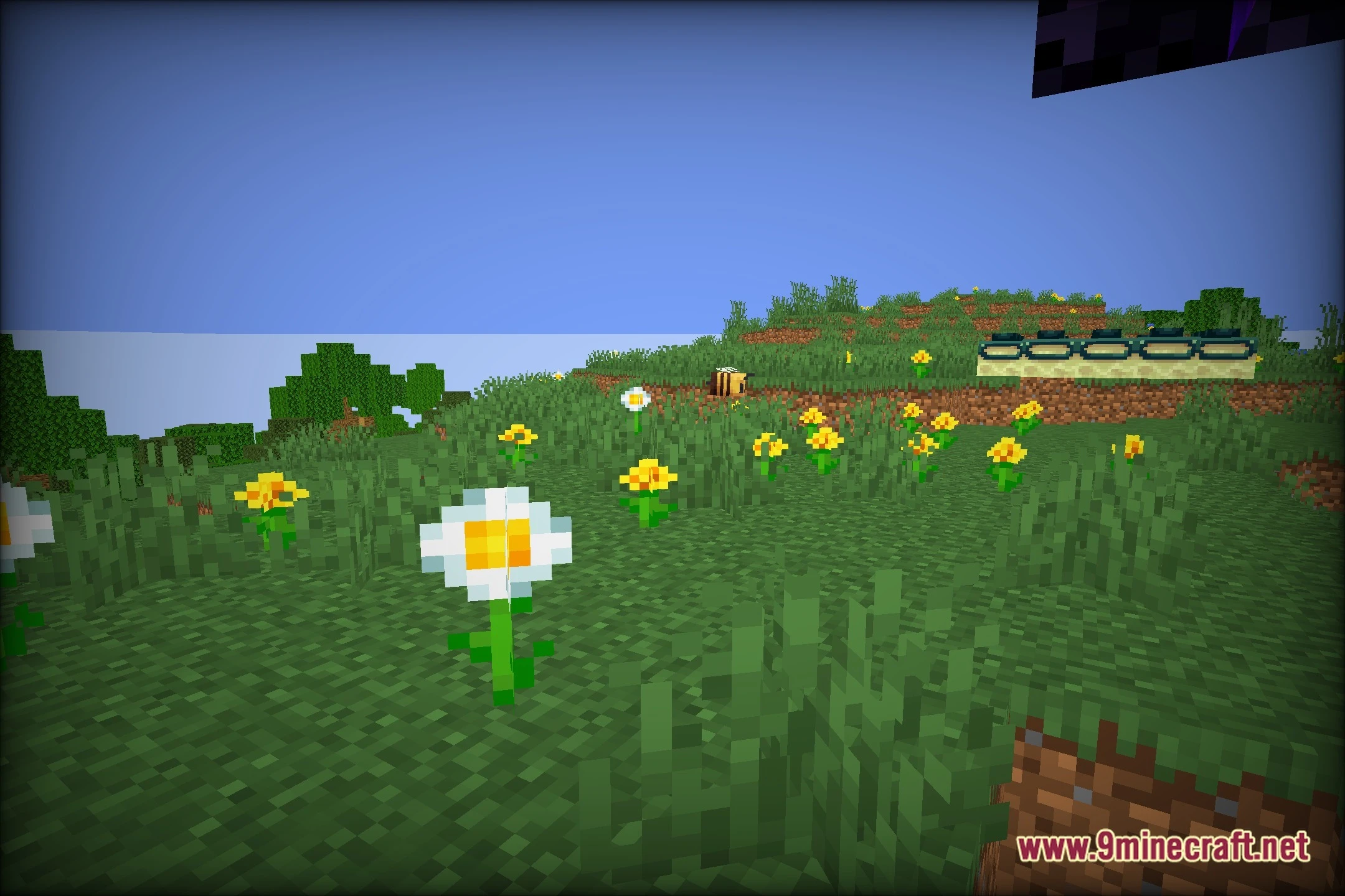 Forbis's ! Shaders (26.2, 1.20.1) – Colored Lighting with Fullbright Toggle — screenshot 5