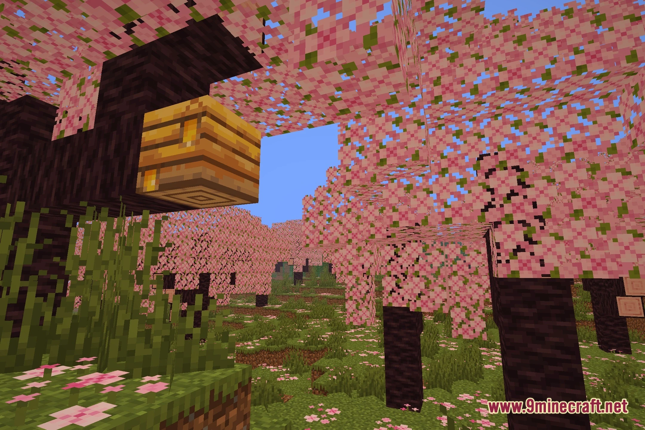 Googy Shaders (26.2, 1.20.1) – Lightweight Water Reflections on Low-End PCs — screenshot 1