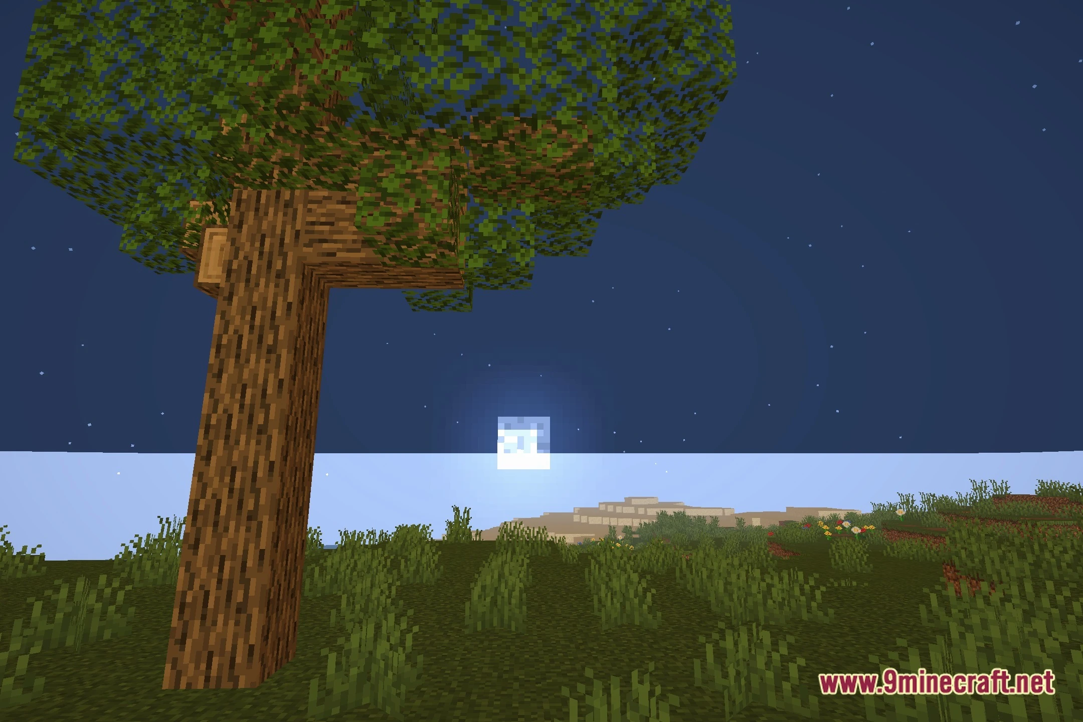 Googy Shaders (26.2, 1.20.1) – Lightweight Water Reflections on Low-End PCs — screenshot 4
