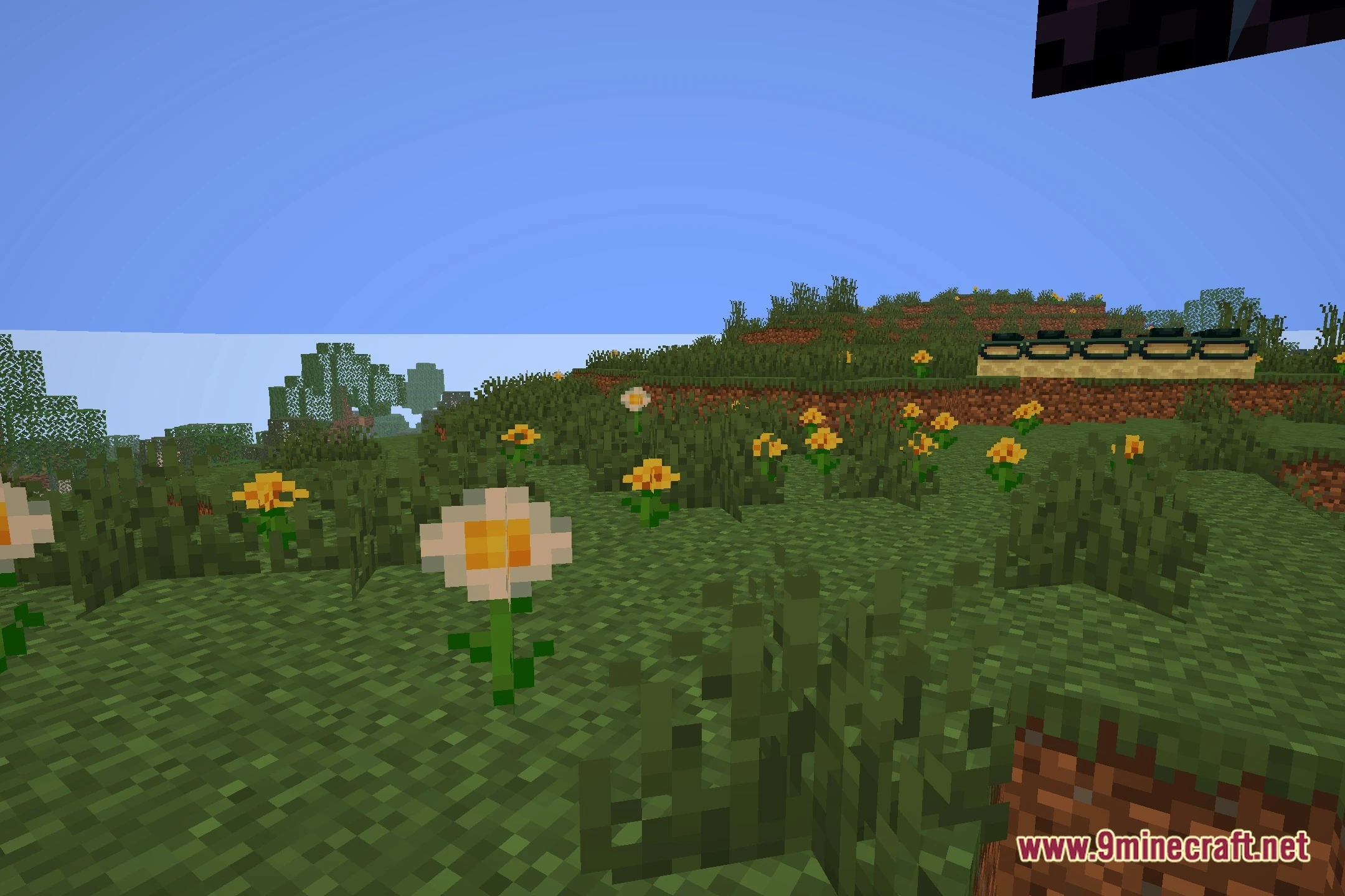Googy Shaders (26.2, 1.20.1) – Lightweight Water Reflections on Low-End PCs — screenshot 5