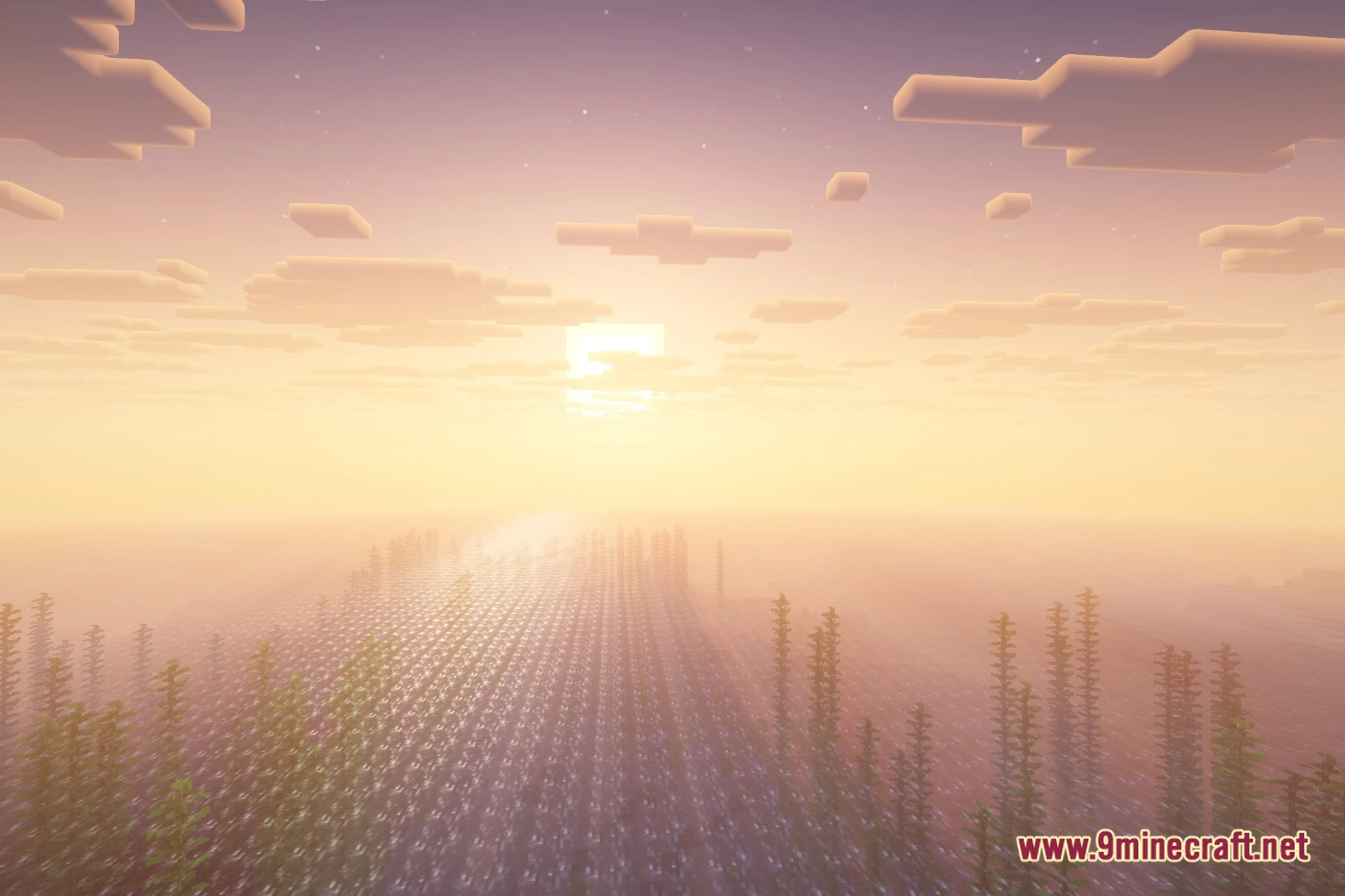 LVE Sunward Shaders (26.2, 1.20.1) – Crisp PBR Materials and Reflections — screenshot 2