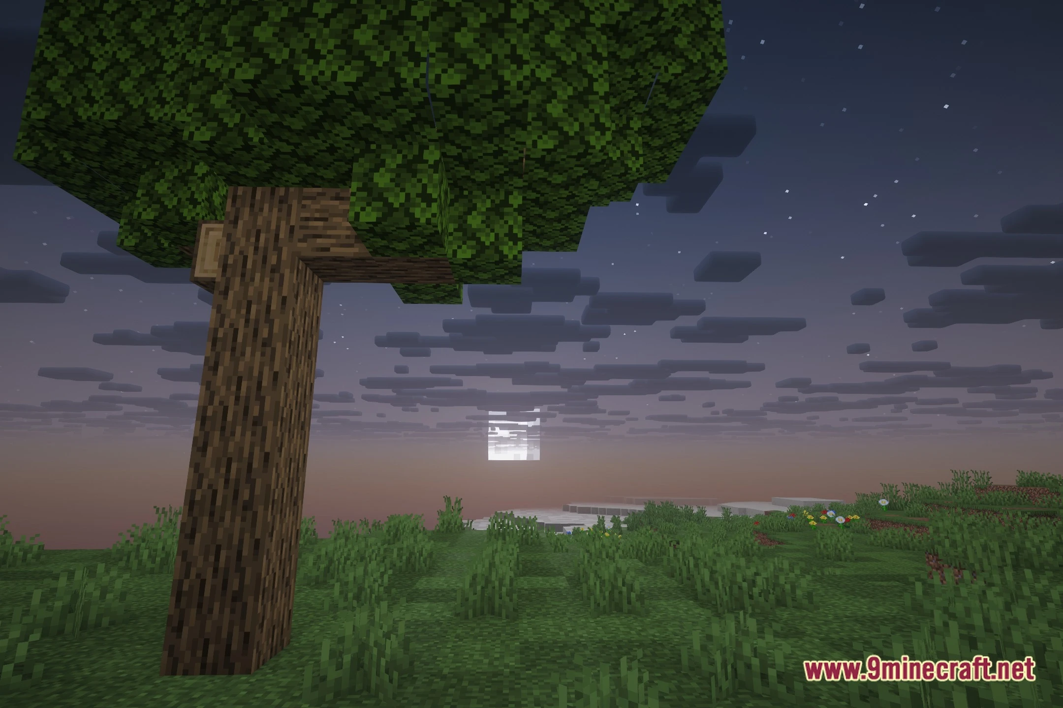 LVE Sunward Shaders (26.2, 1.20.1) – Crisp PBR Materials and Reflections — screenshot 4