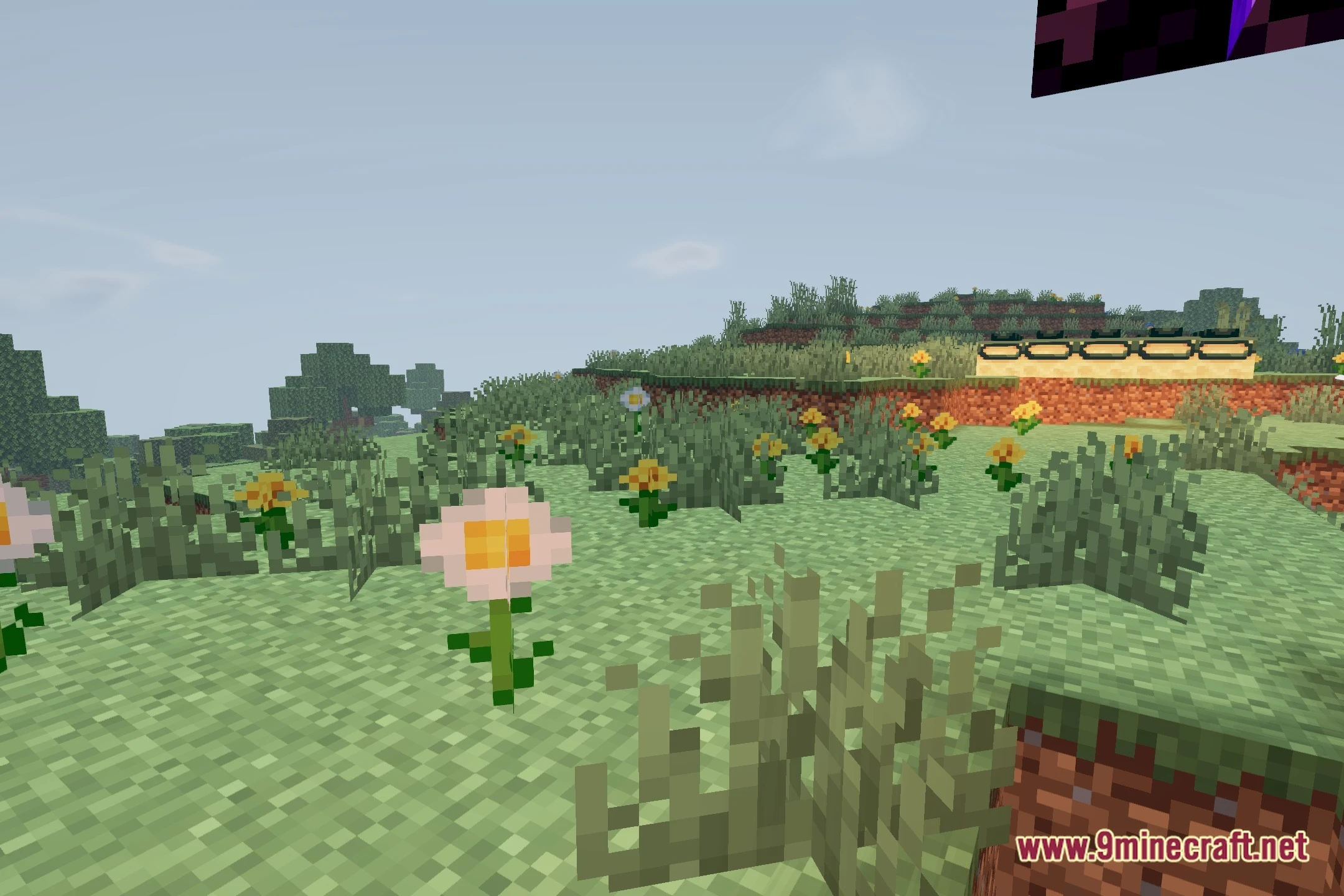 Lenscraft Shaders (26.2, 1.20.1) – Anamorphic Lens and Bokeh Effects — screenshot 4