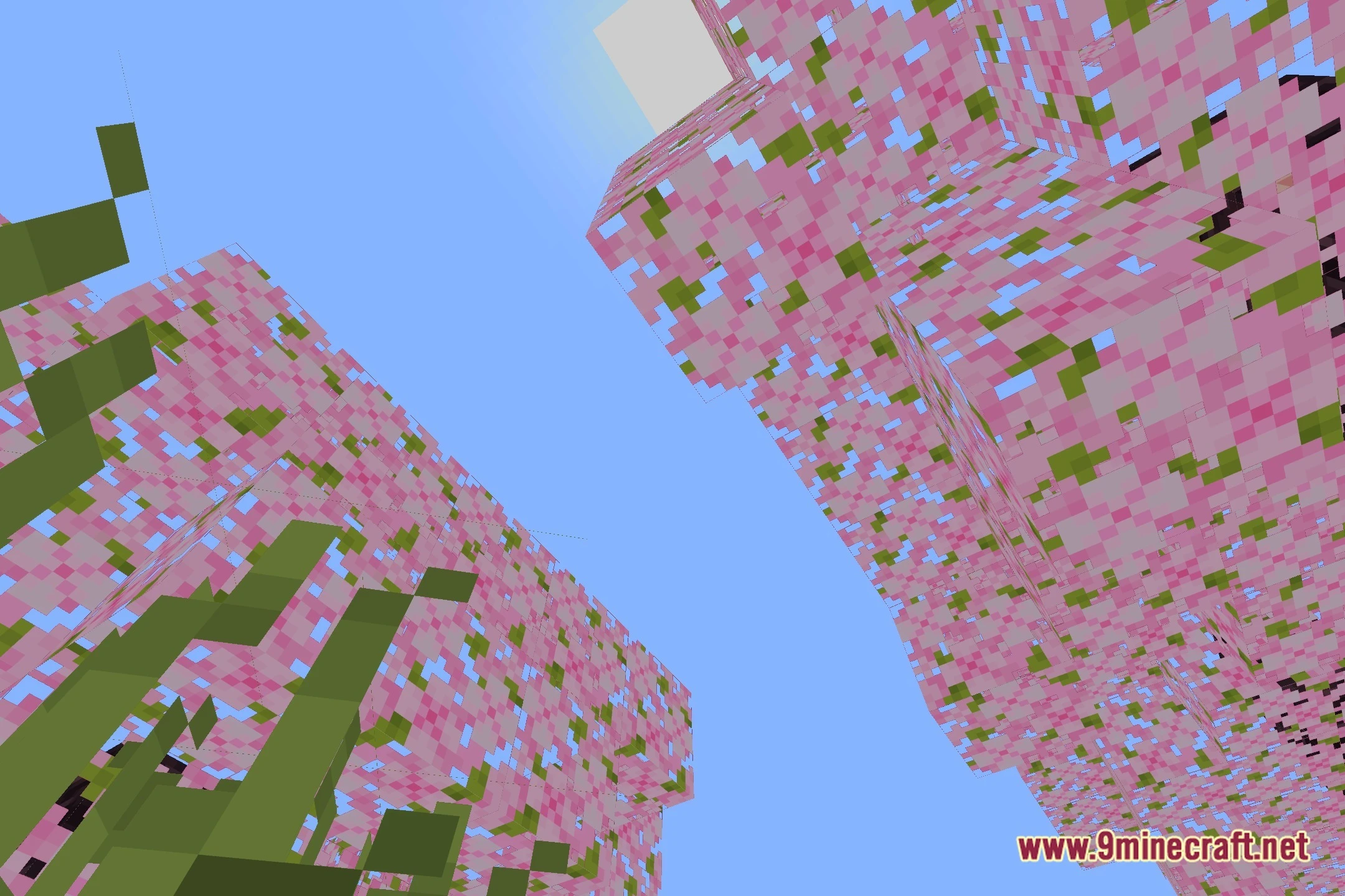 Lixexis Shaders (26.2, 1.20.1) – Soft Shadows and Colored Lighting — screenshot 1