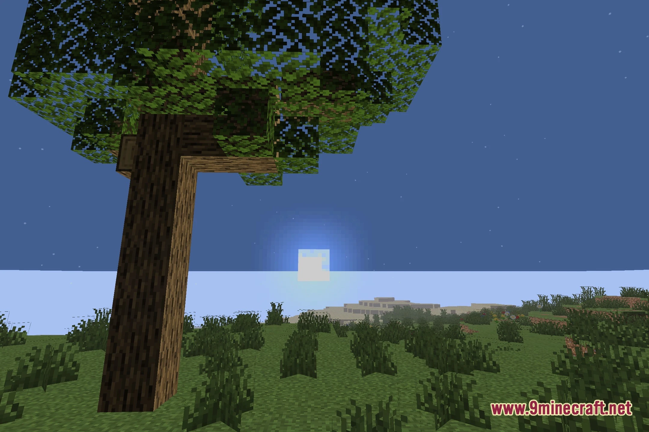 Lixexis Shaders (26.2, 1.20.1) – Soft Shadows and Colored Lighting — screenshot 4