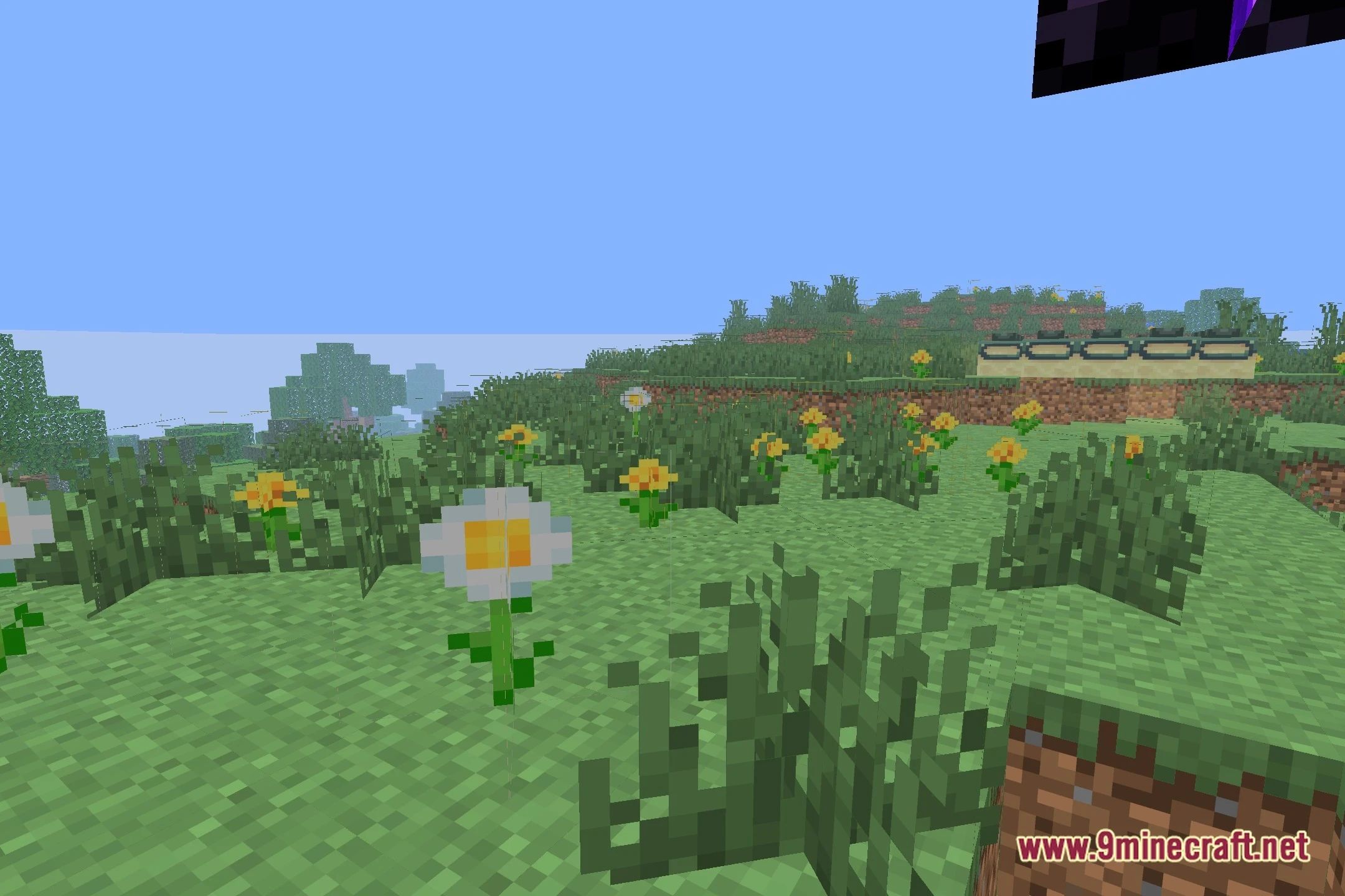 Lixexis Shaders (26.2, 1.20.1) – Soft Shadows and Colored Lighting — screenshot 5